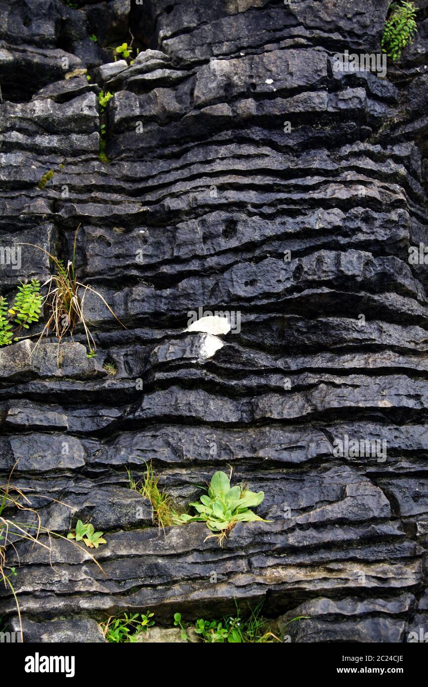 Strong defect hi-res stock photography and images - Alamy