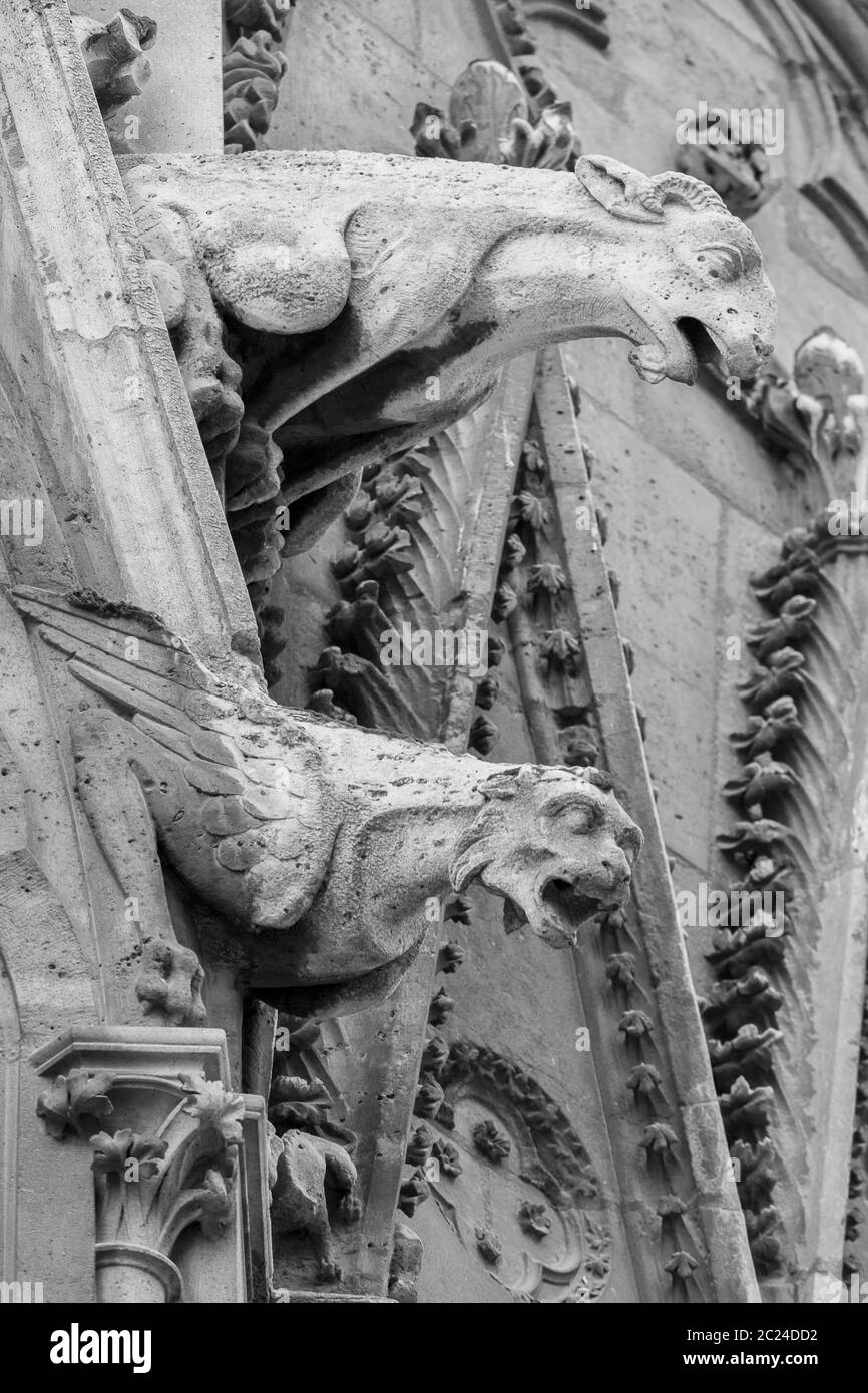 Gargoyles of Notre Dame cathedral in Paris Stock Photo Alamy