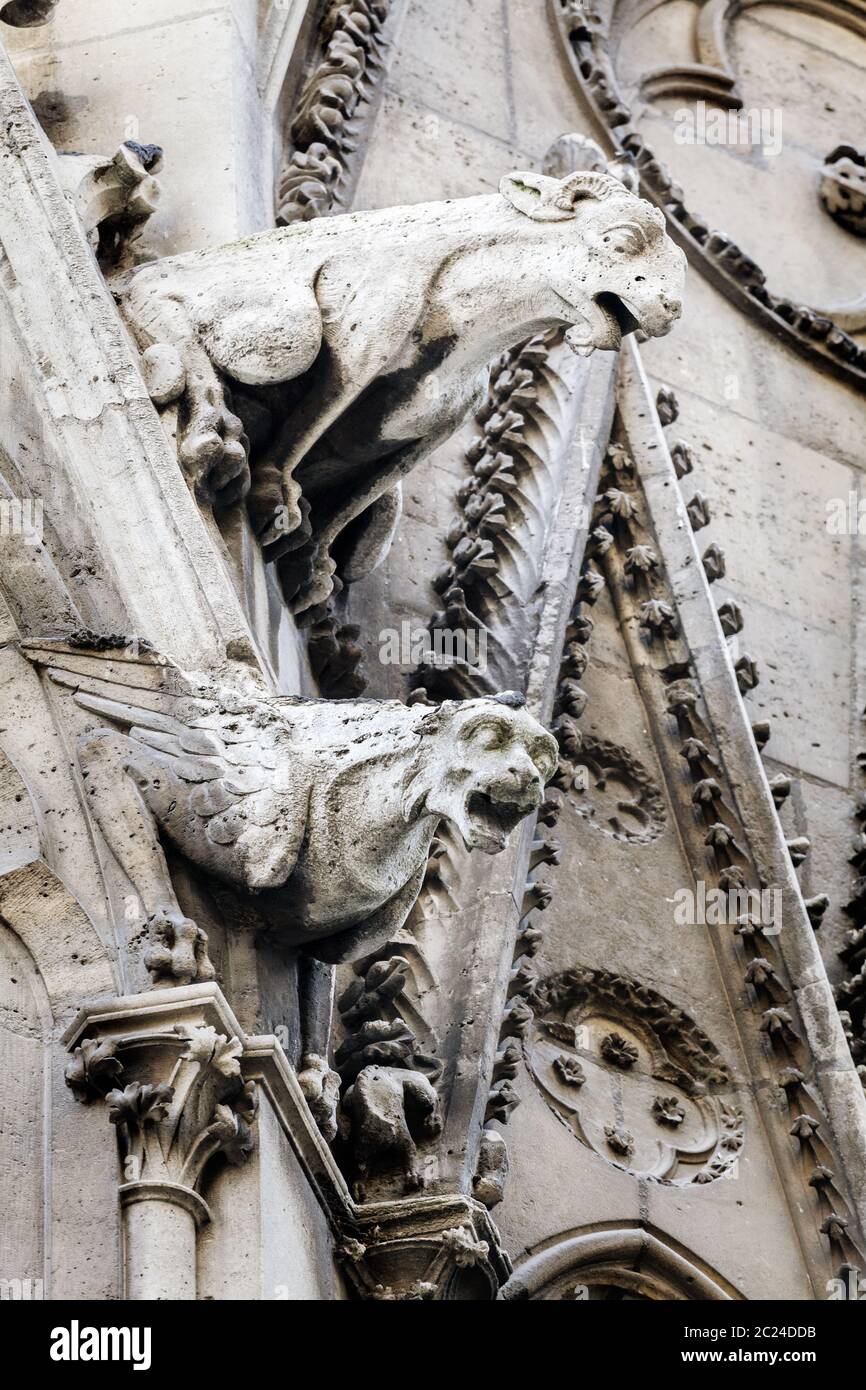 Gargoyles of Notre Dame cathedral in Paris Stock Photo Alamy