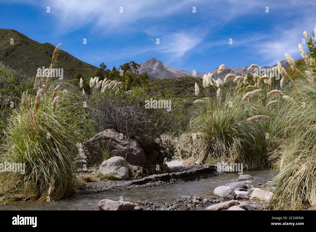 Water flows in a small stream in front of shield and mountains in the highlands of Chile Stock Photo
