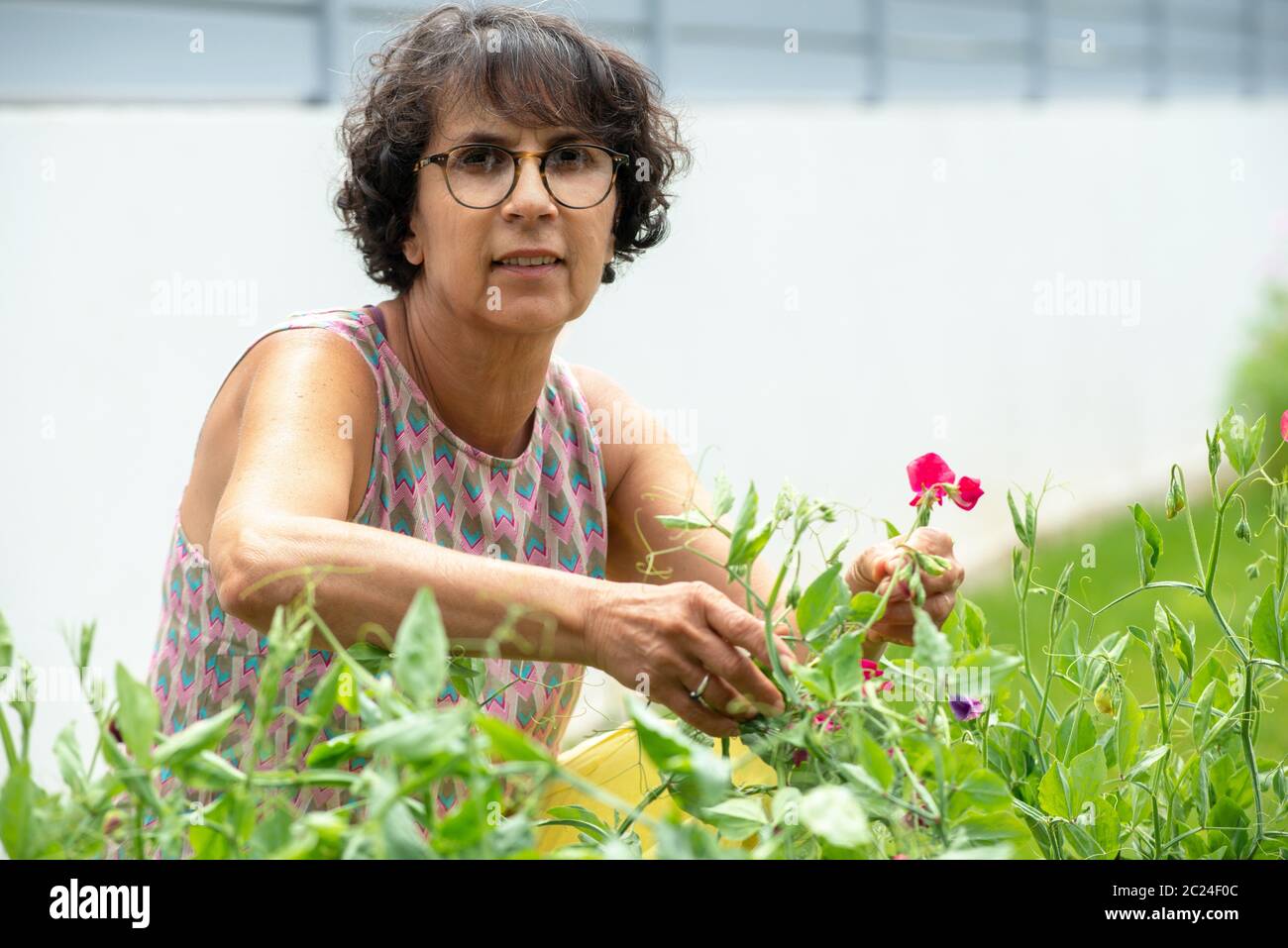 a beautiful mature woman in a garden with flowers Stock Photo - Alamy