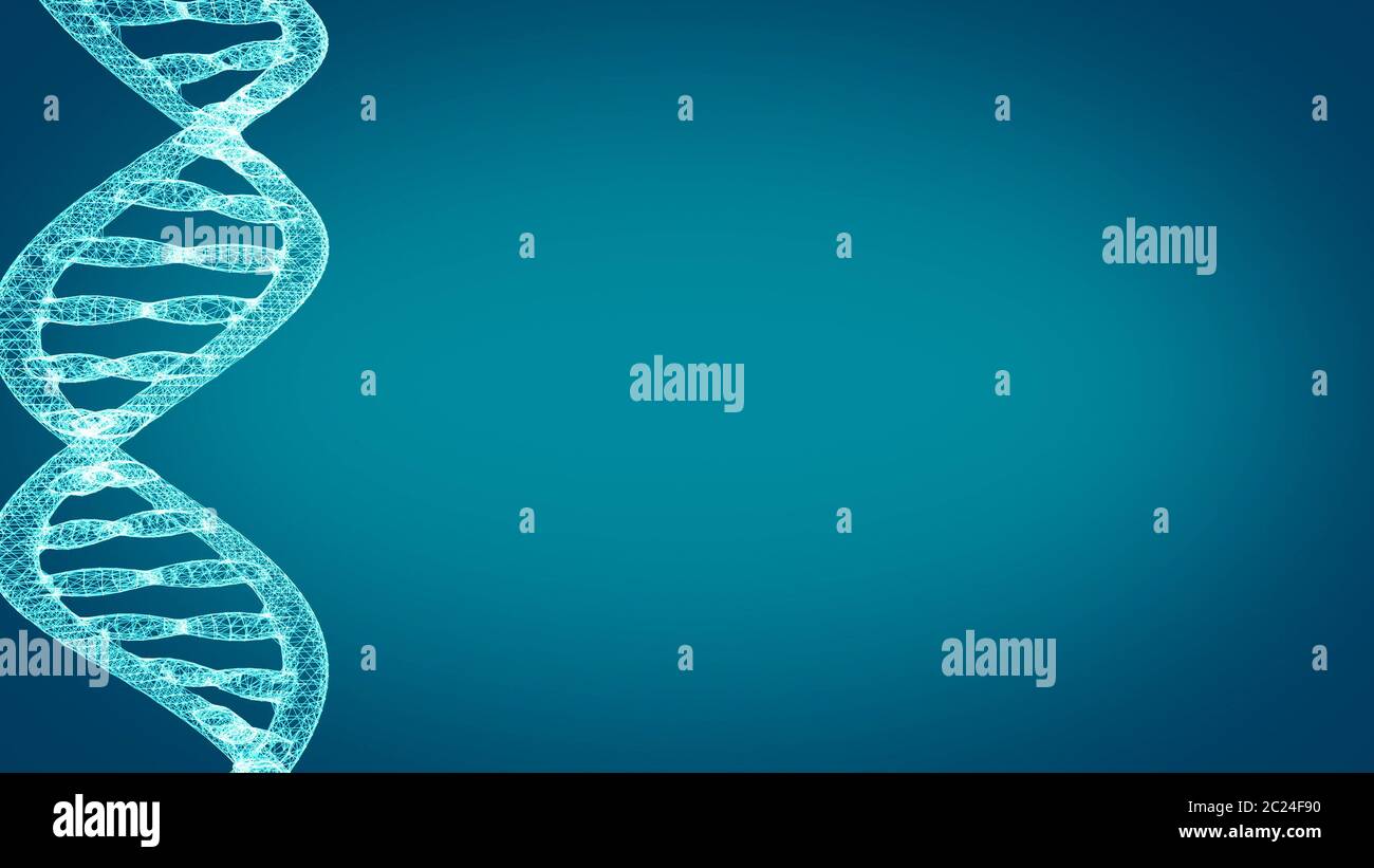 DNA. Abstract 3d polygonal wireframe DNA molecule helix spiral. Medical ...