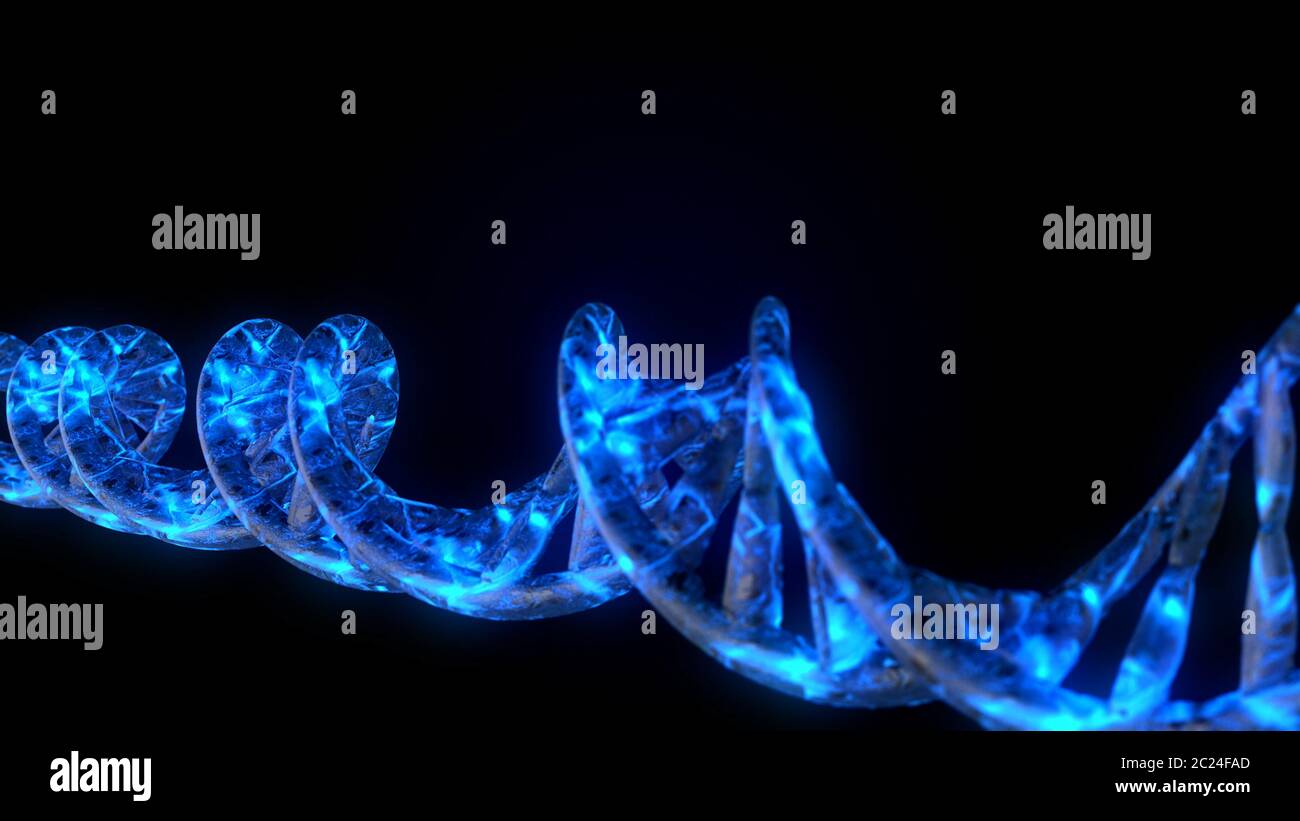 DNA. Abstract 3d polygonal wireframe DNA molecule helix spiral Stock ...