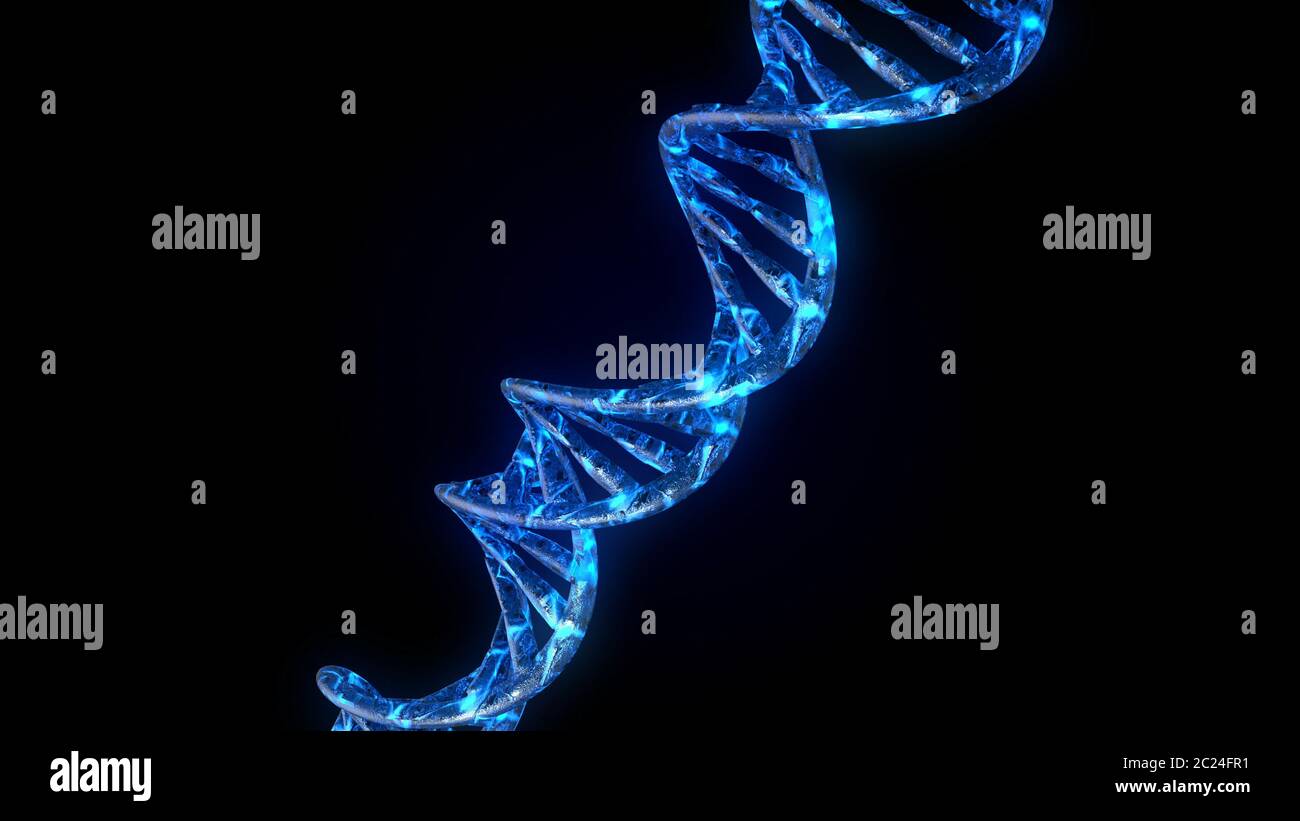 DNA. Abstract 3d polygonal wireframe DNA molecule helix spiral Stock ...