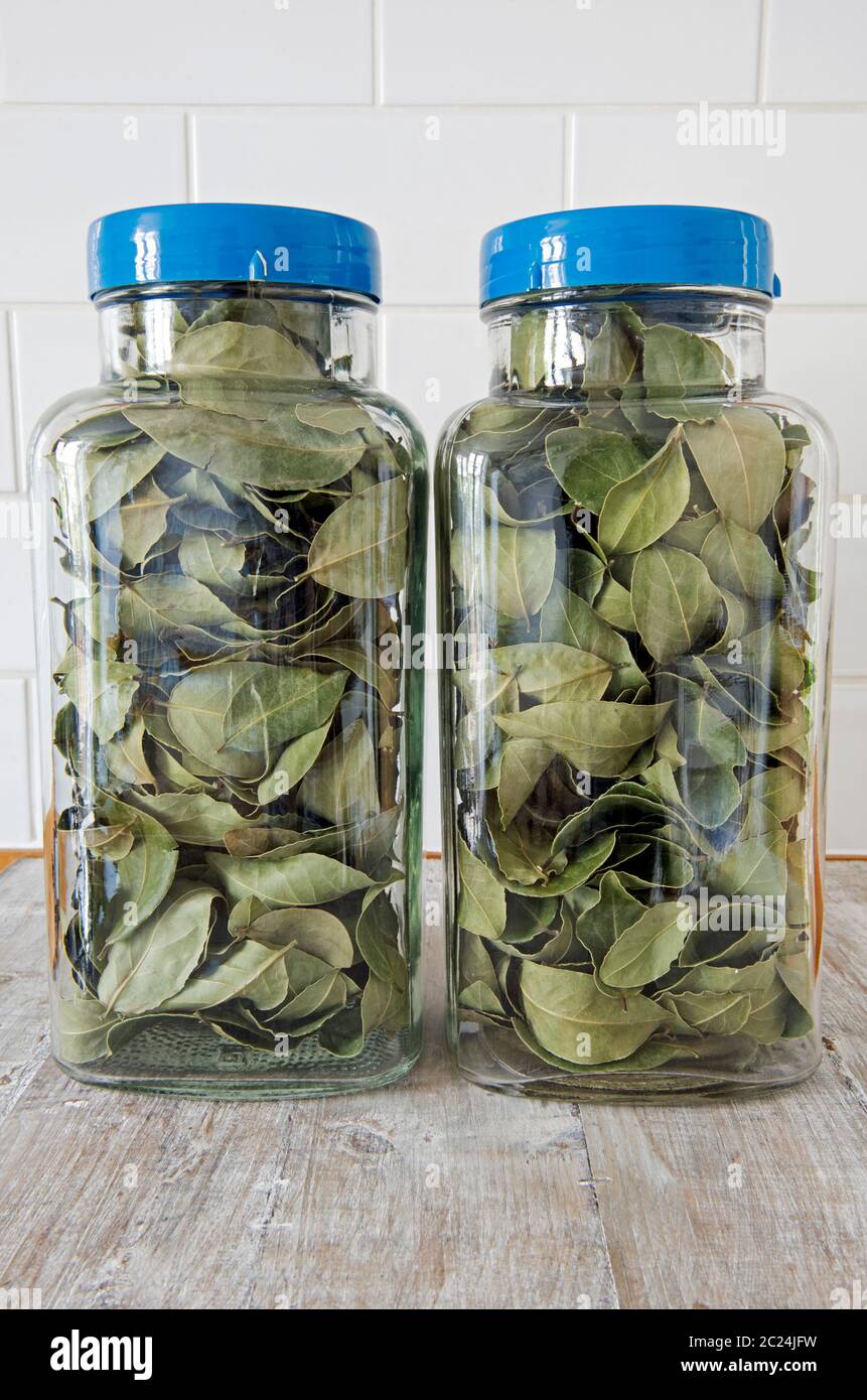 Bay leaves stored in two tall recycled vintage sweet jars with blue lids on wooden surface against white tiled background. zero waste concept Stock Photo