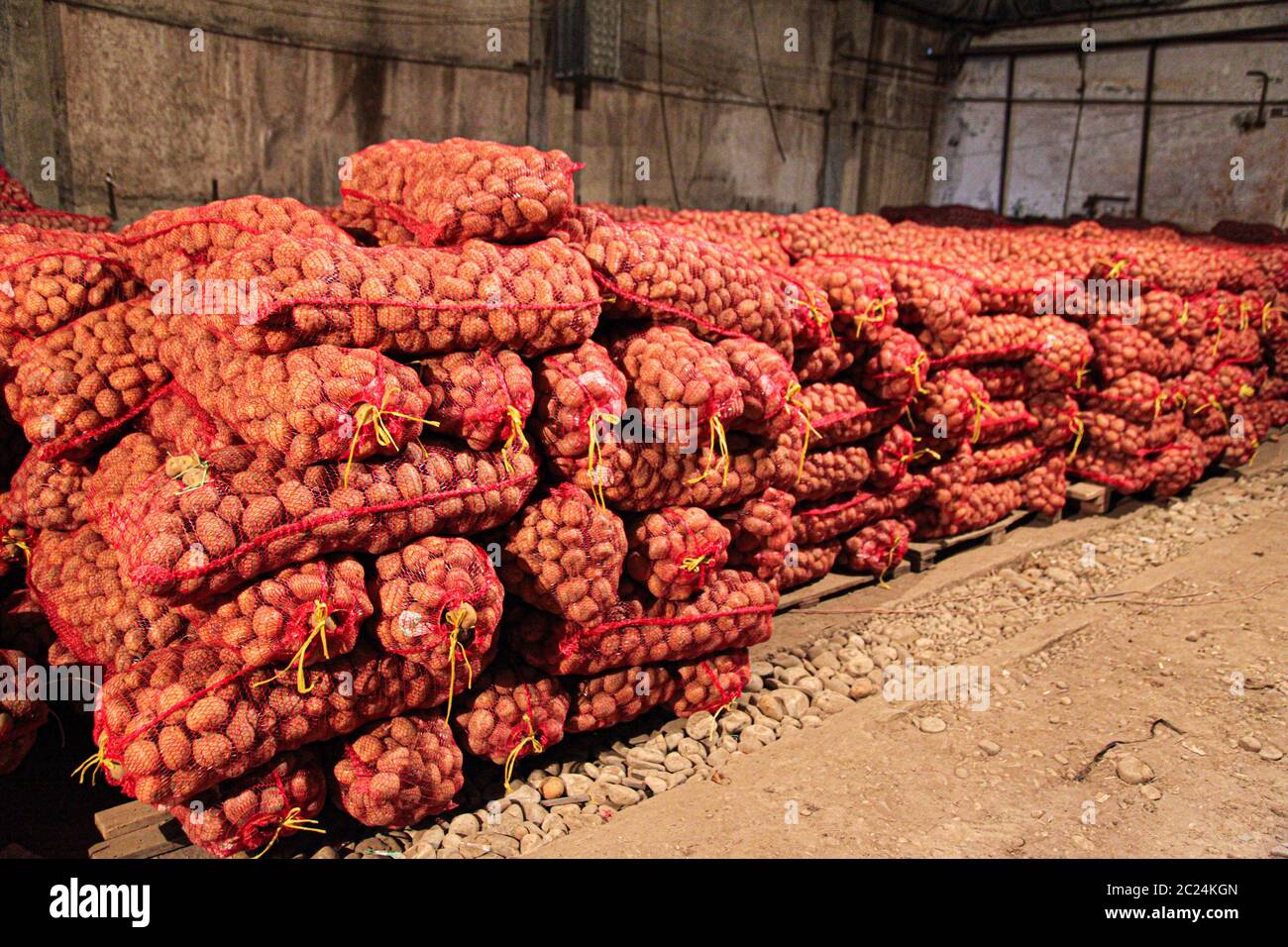 Multiple onion harvest in red sacs in the warehouse Stock Photo Alamy