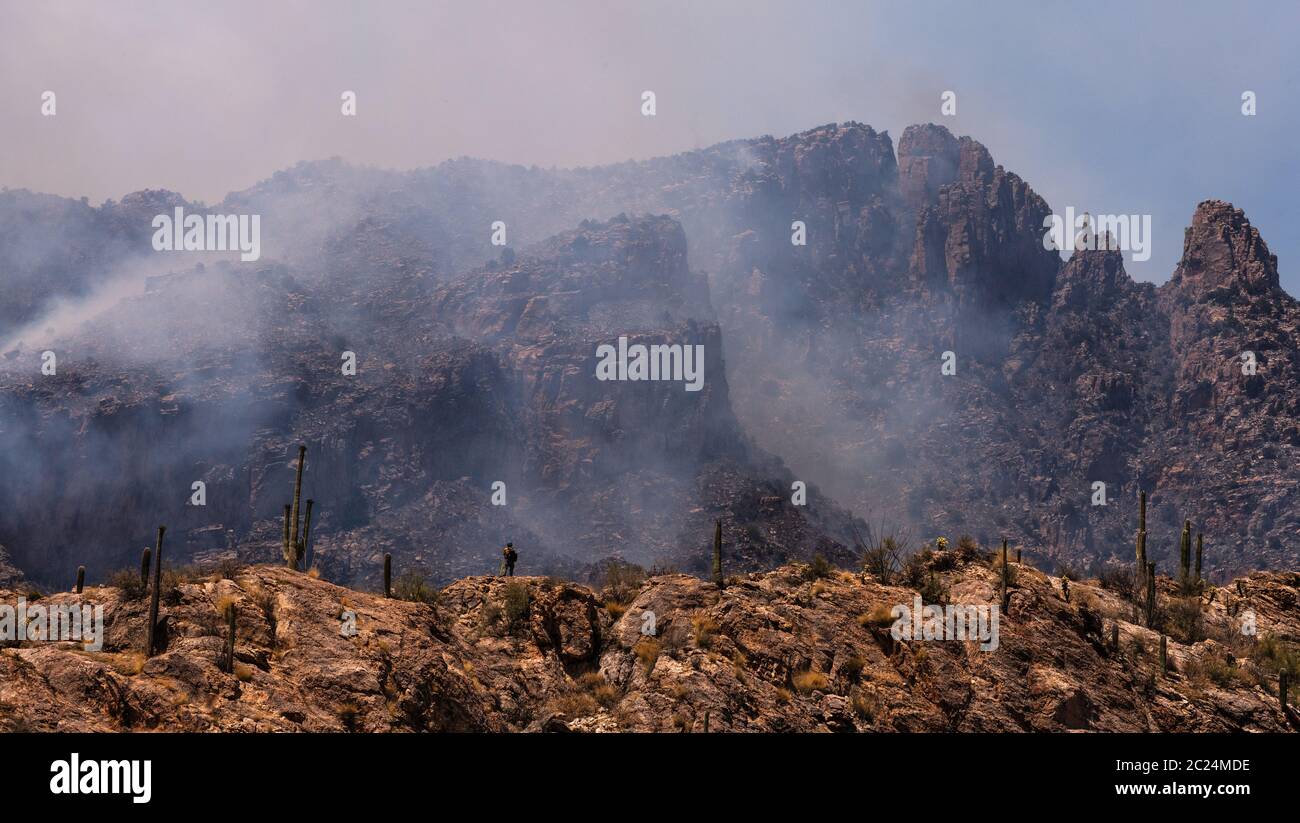 A lone hotshot firefighter surveys the Bighorn Fire in the Santa Catalina Mountains, Sonoran Desert, Coronado National Forest, Tucson, Arizona, USA. Stock Photo