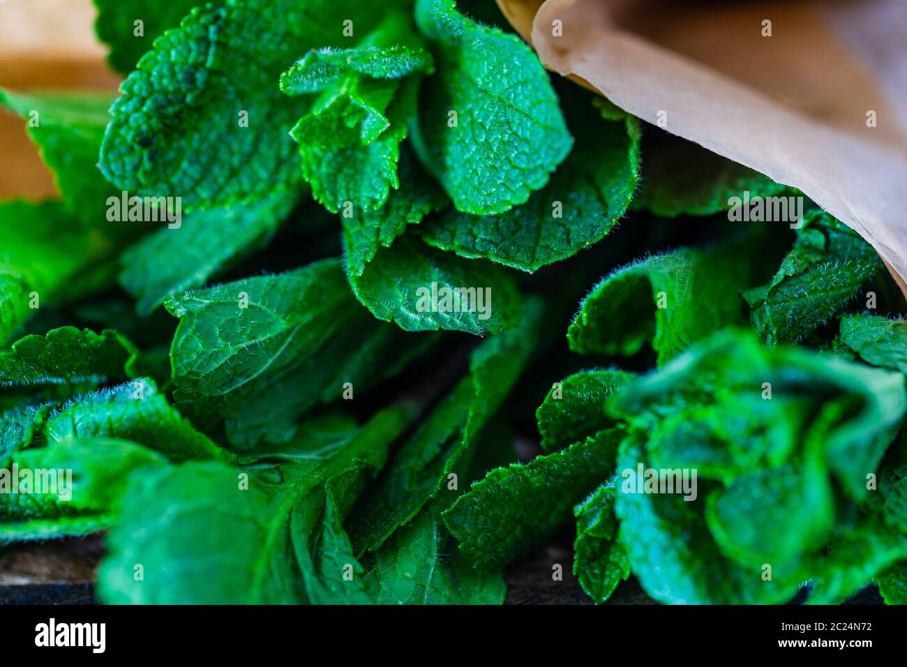 Organic mint herb Stock Photo Alamy