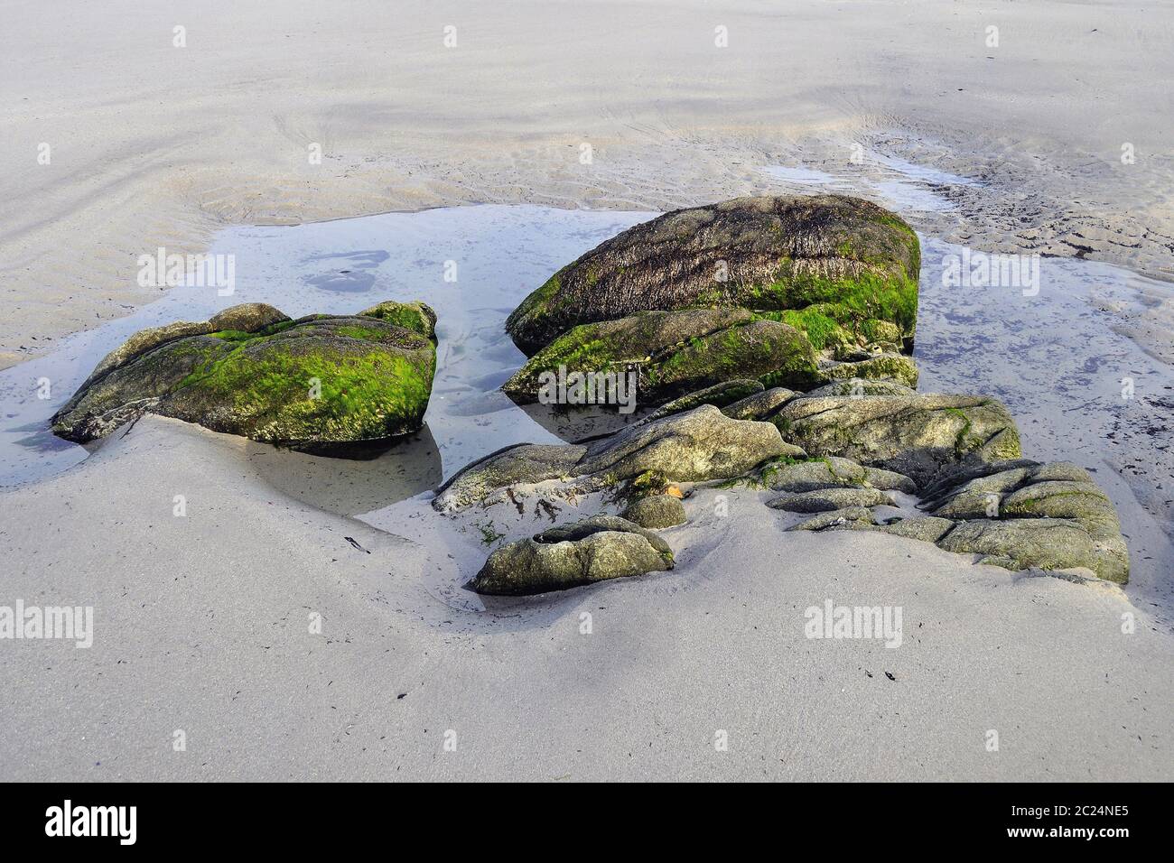 Reef Roc Surface Reef roc after the Atlantic Ocean Stock Photo - Alamy