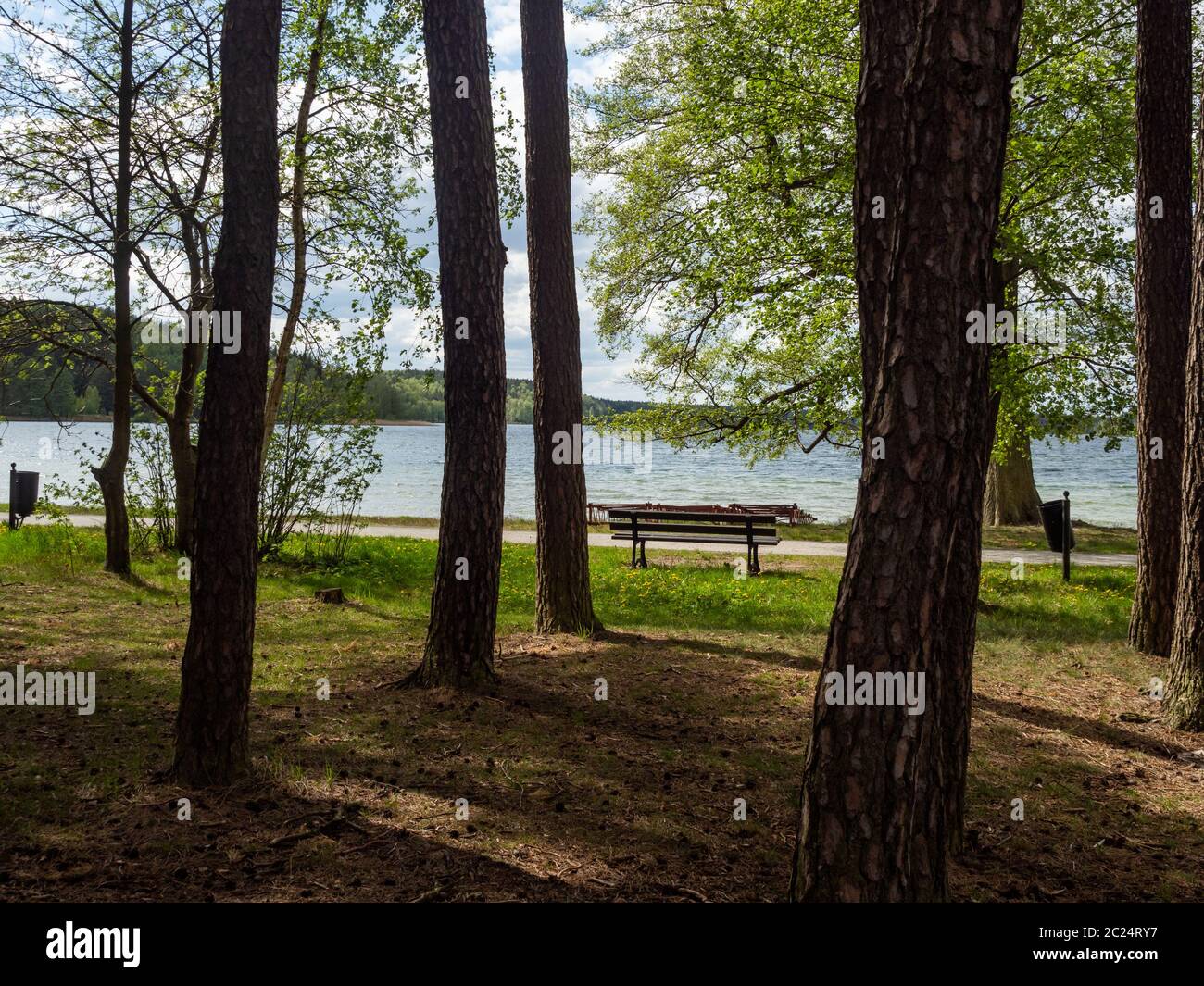 Wielewskie Lake, park view with trees and empty bench. Sunny day. Kaszuby, Poland Stock Photo