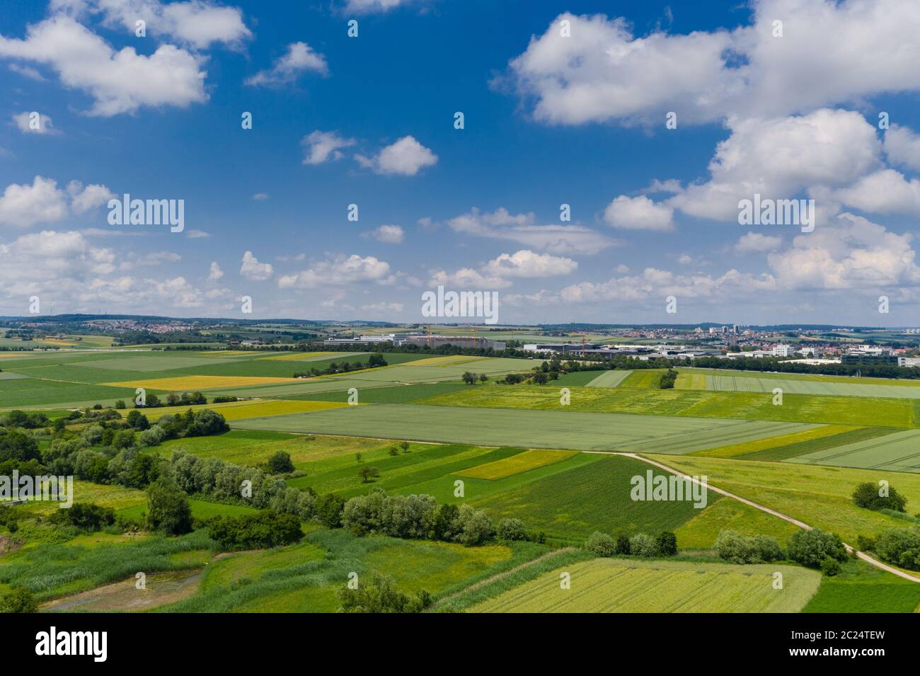 Grain field with trees hi-res stock photography and images - Alamy