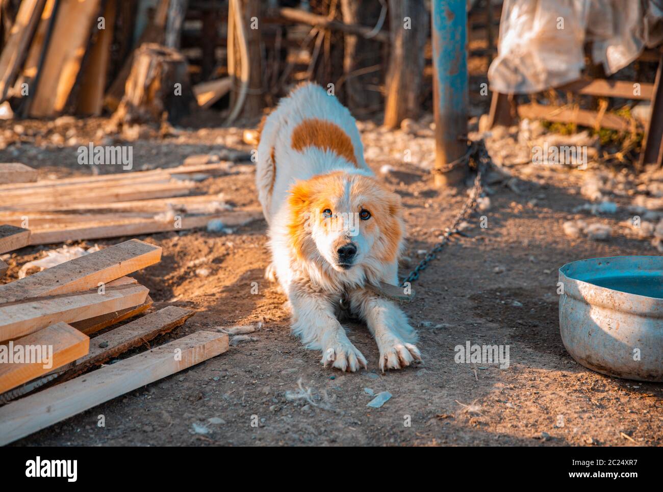 Farmand High Resolution Stock Photography And Images Alamy