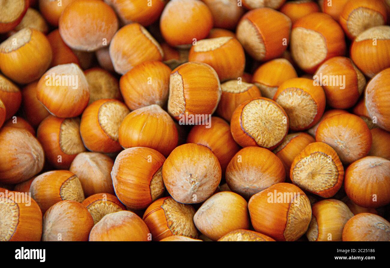 Light brown stock hi-res stock photography and images - Alamy