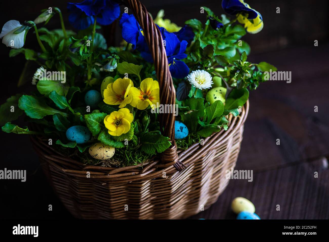 Spring floral concept Stock Photo - Alamy