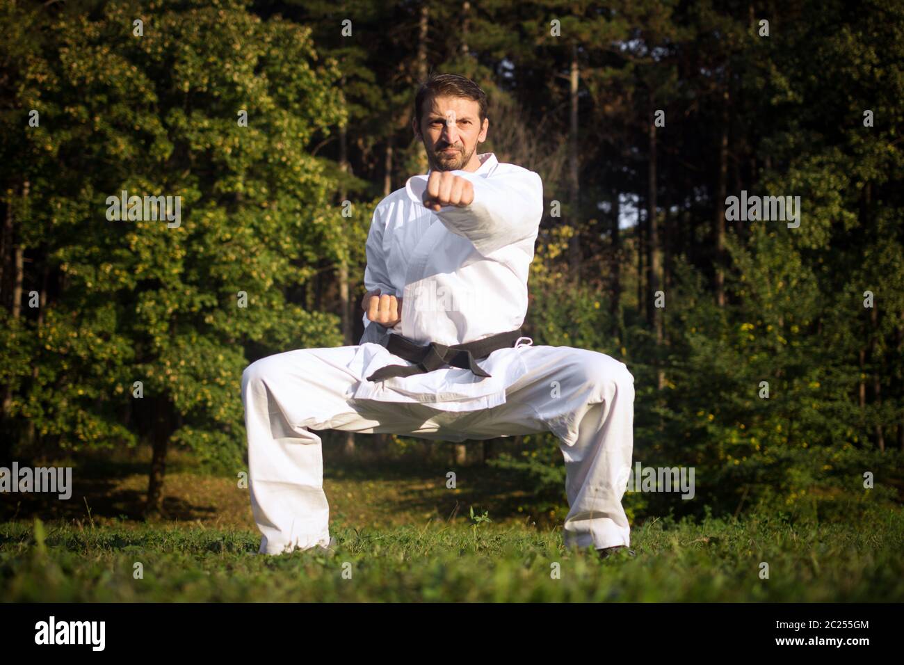 Black belt karate expert hi-res stock photography and images - Alamy