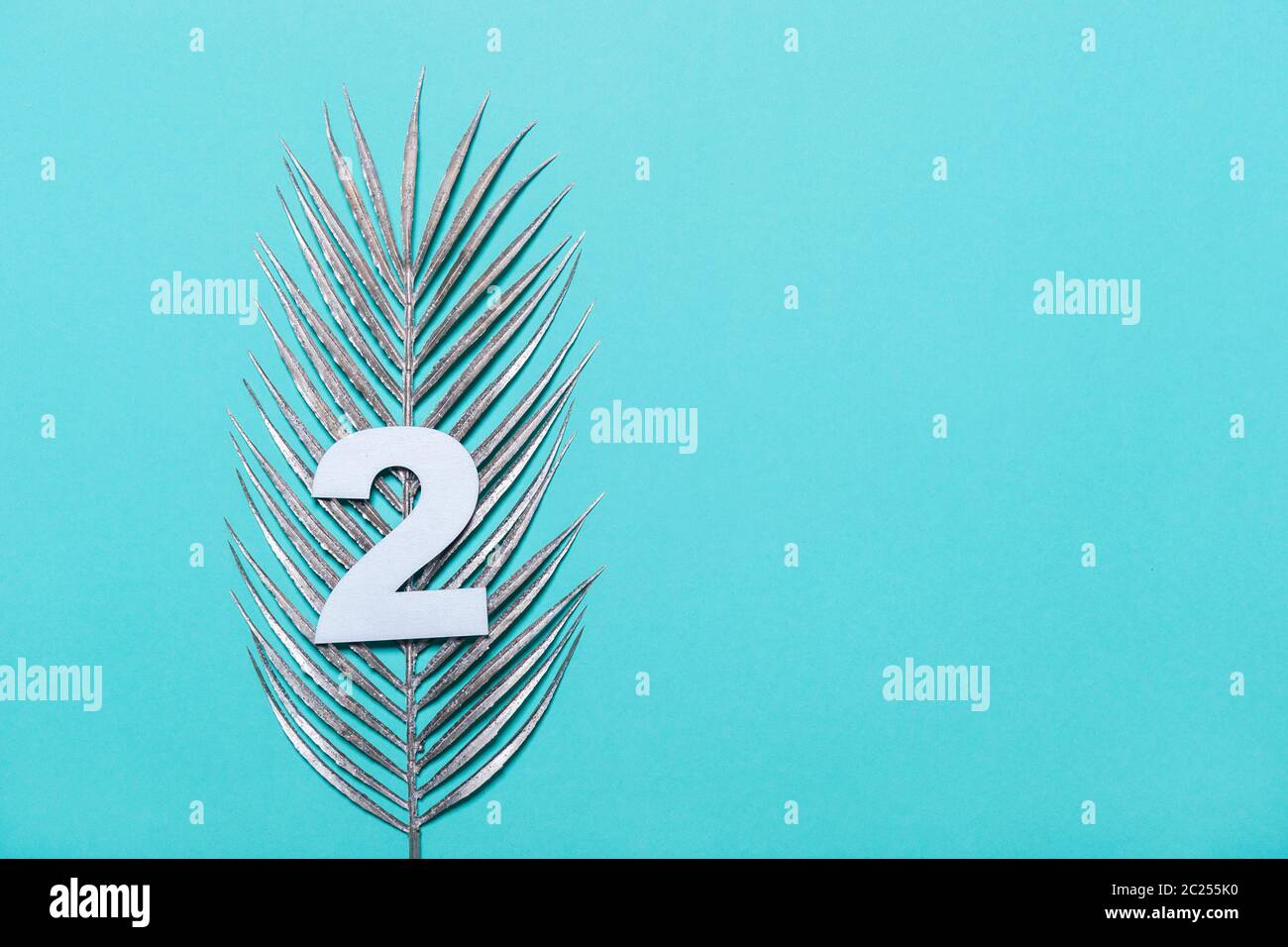 Silver top palm tree hi-res stock photography and images - Alamy