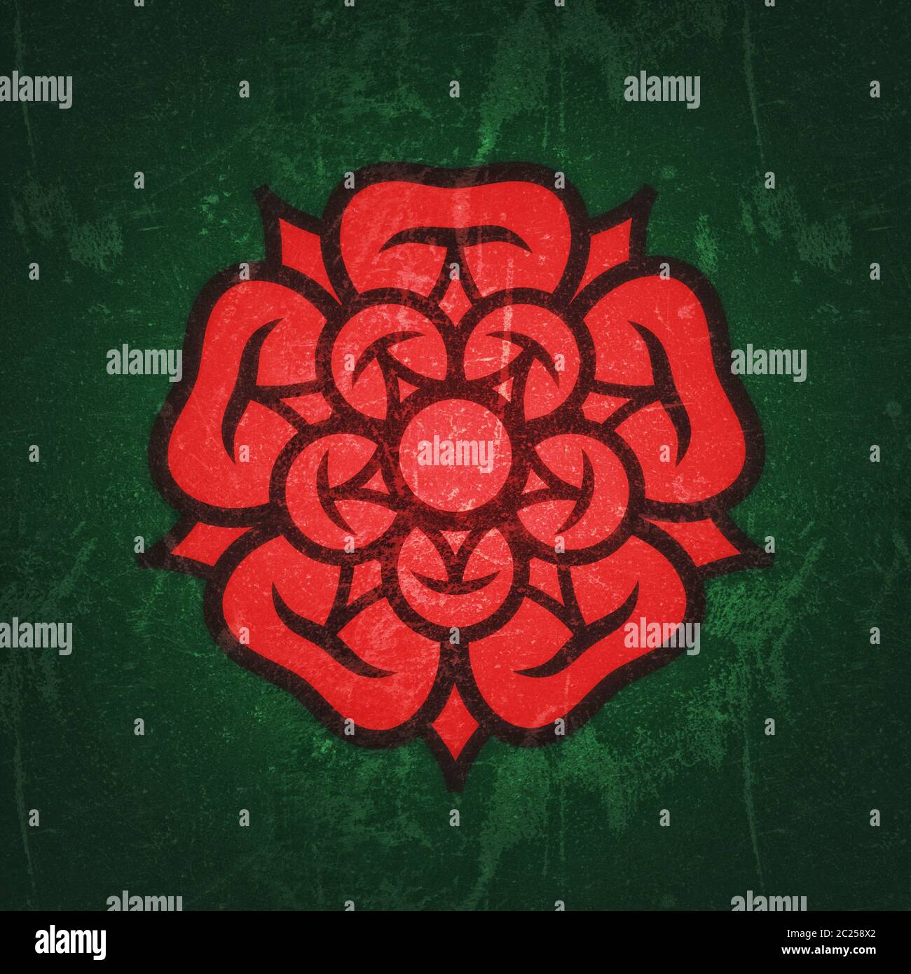 Rose (Queen of flowers), emblem of love, beauty and perfection. Stock Photo