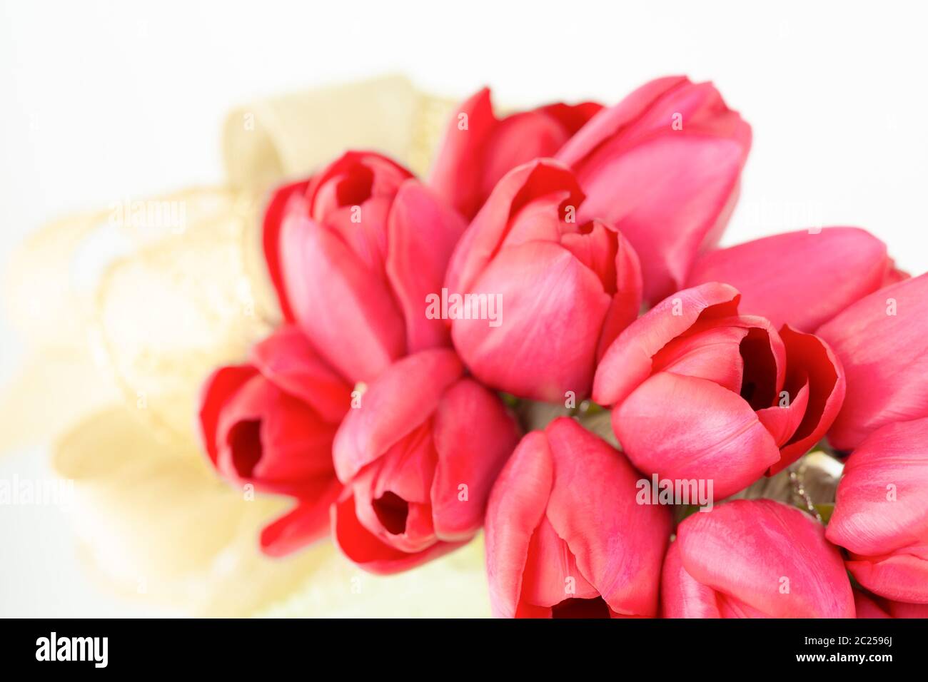 Close up of red tulips with gold bow, selective focus  and copy space in horizontal orientation. Stock Photo
