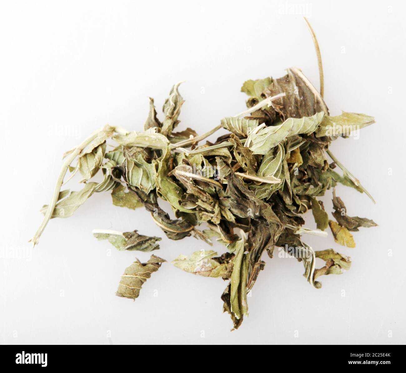 Mentha Is A Genus Of Plants In The Family Lamiaceae (Mint Family Stock