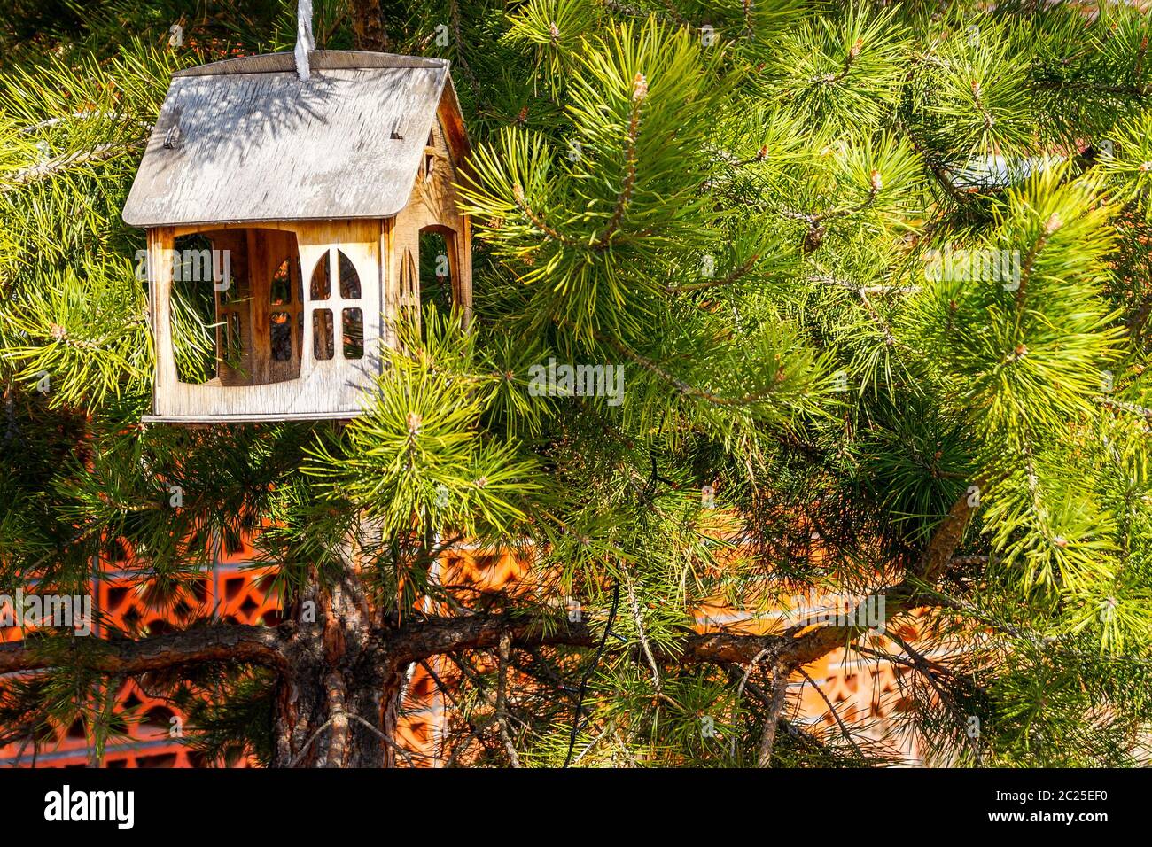 A new bird feeder in the shape of a house is hanging on a green spruce branch. Stock Photo
