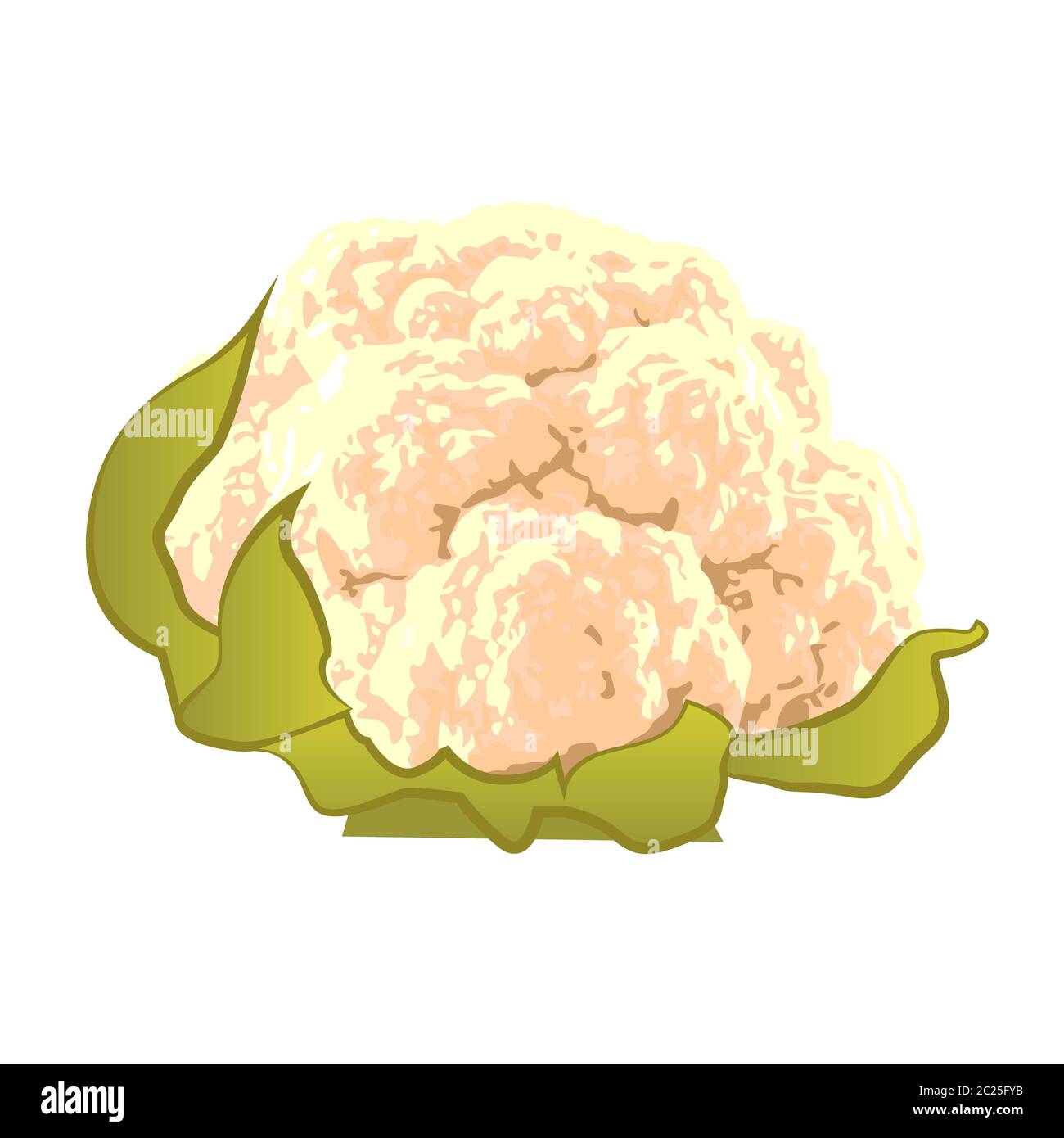 Cauliflower vegetable Stock Photo