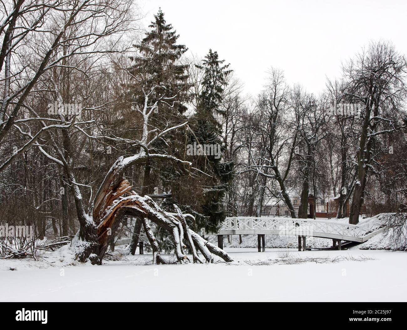 Winter landscape Stock Photo