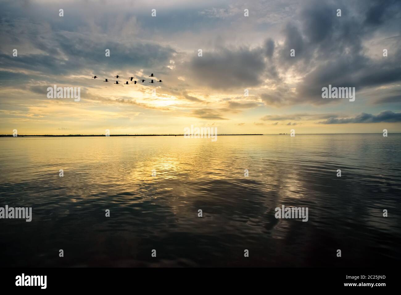 Beautiful nature landscape, bright golden sunlight in the sky and silhouette flock of birds flying for a living in the morning during the sunrise over Stock Photo
