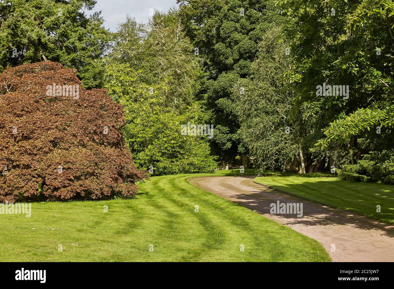 Curved path leading through the park and forest at Cawdor Castle, close to Iverness in Scotland. Stock Photo