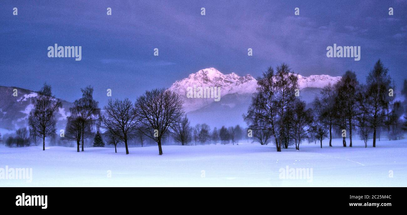 leafless trees in mystical darkness  in a intense winterlandscap and rising sun. Stock Photo