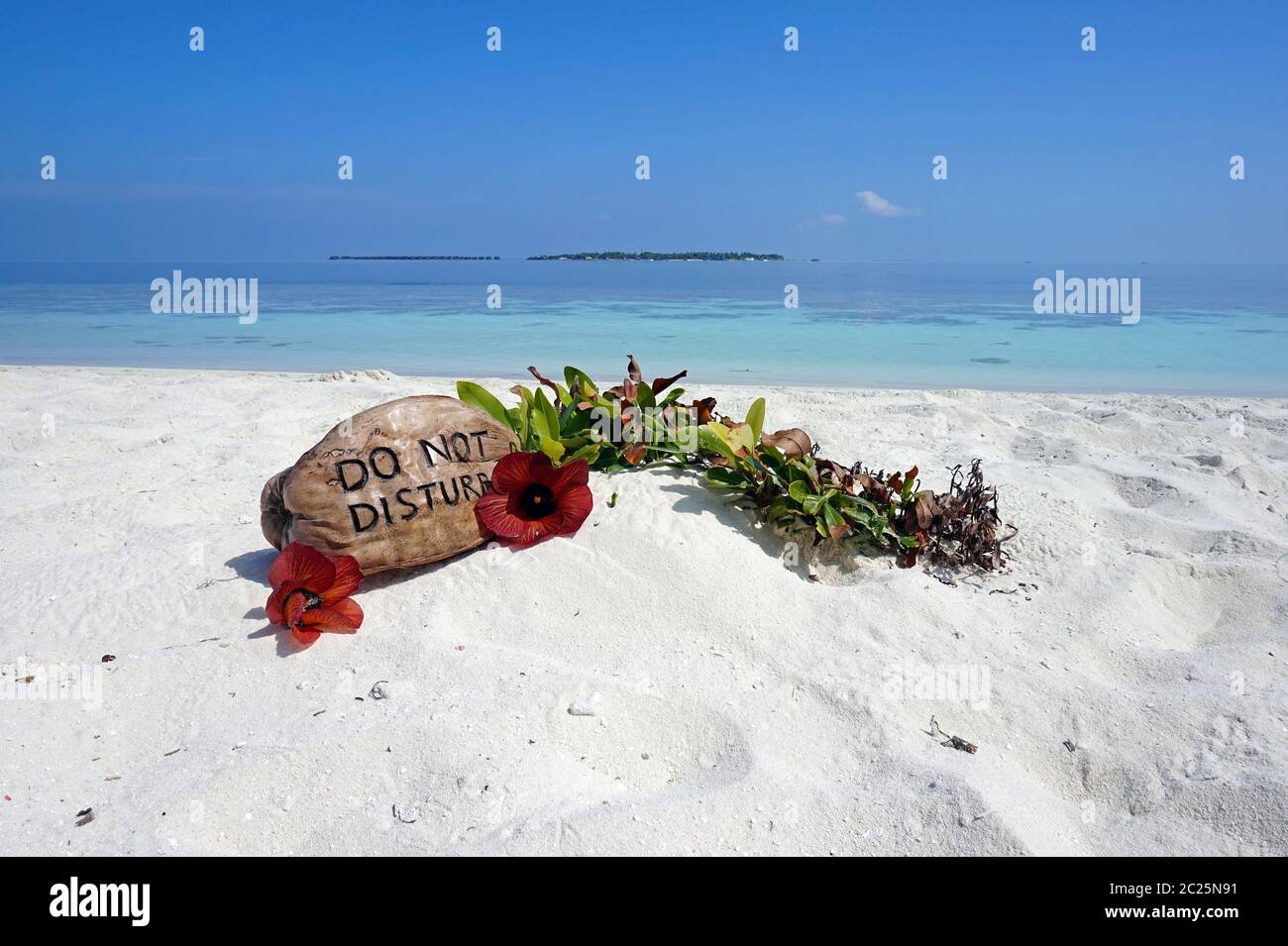 Please do not disturb - Standing on a coconut on the beach of the Maldives. Please do not disturb during your holiday. Stock Photo