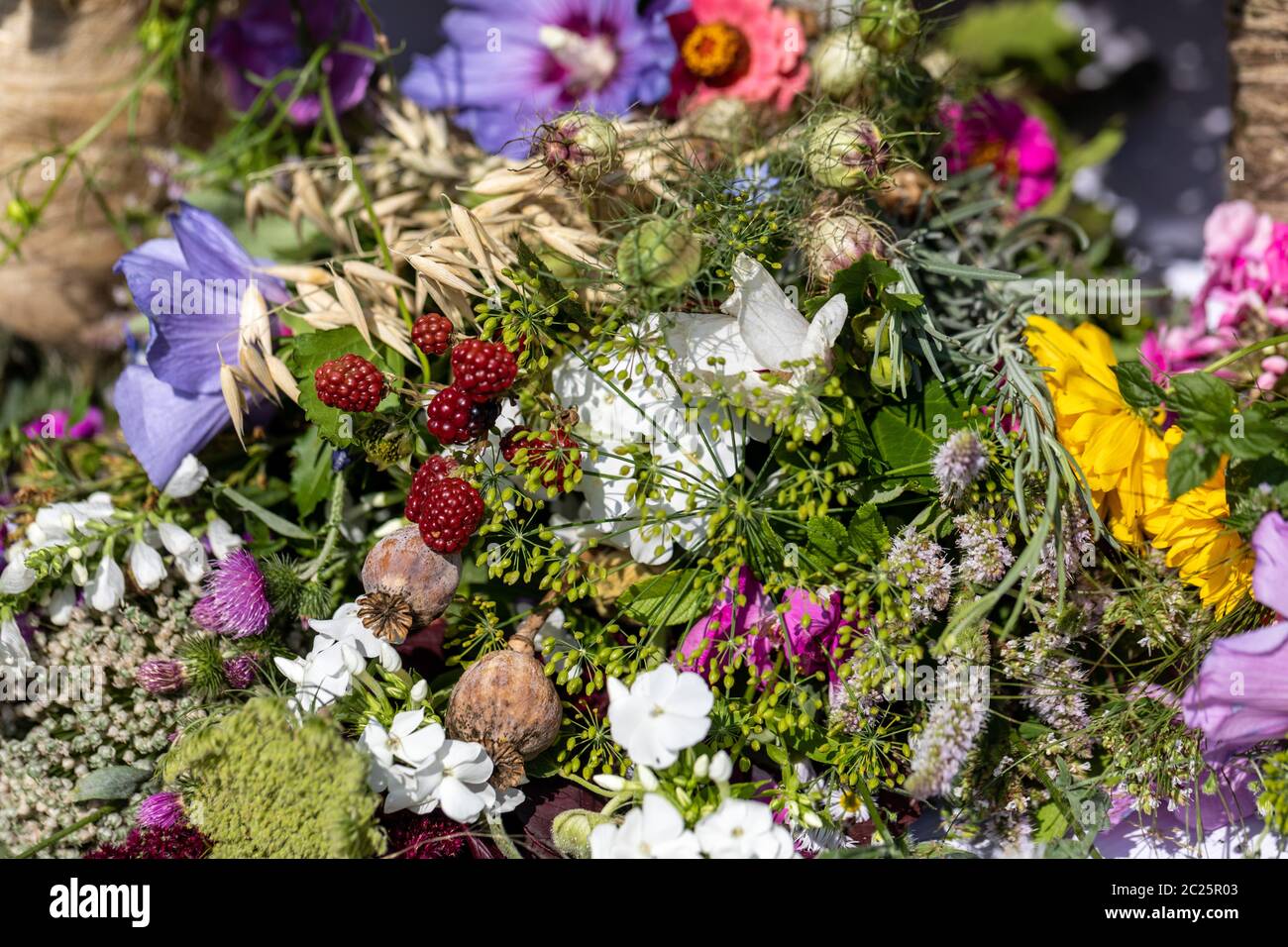 Floristic bouquet of flowers, herbs and fruits that are the symbol of summer Stock Photo