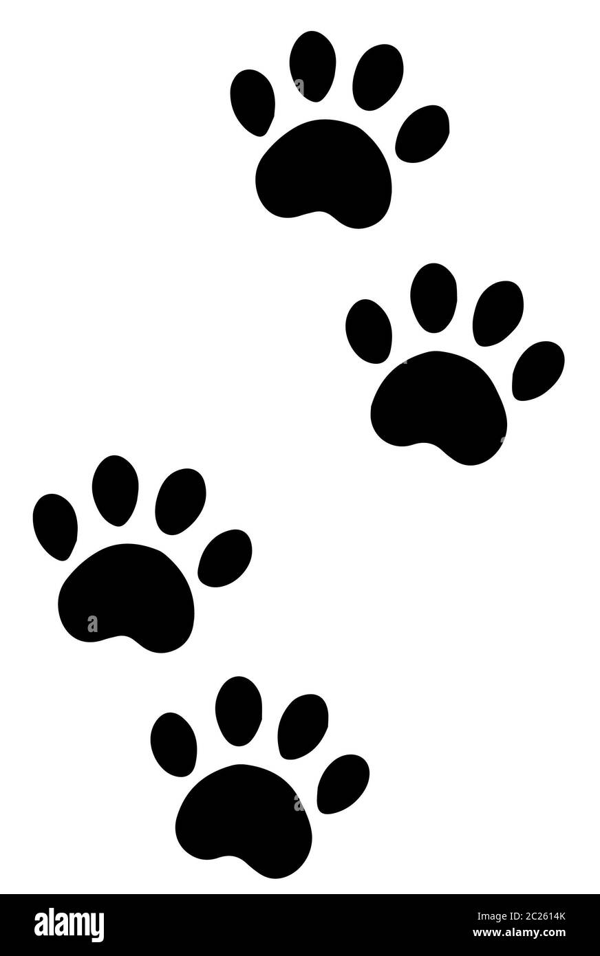 paws of a dog Stock Photo