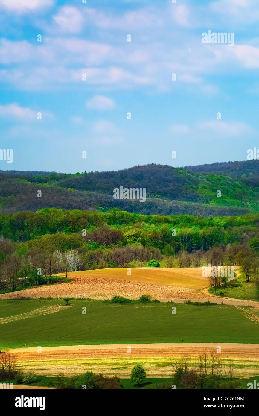 Fields in Carpathian mountains Stock Photo