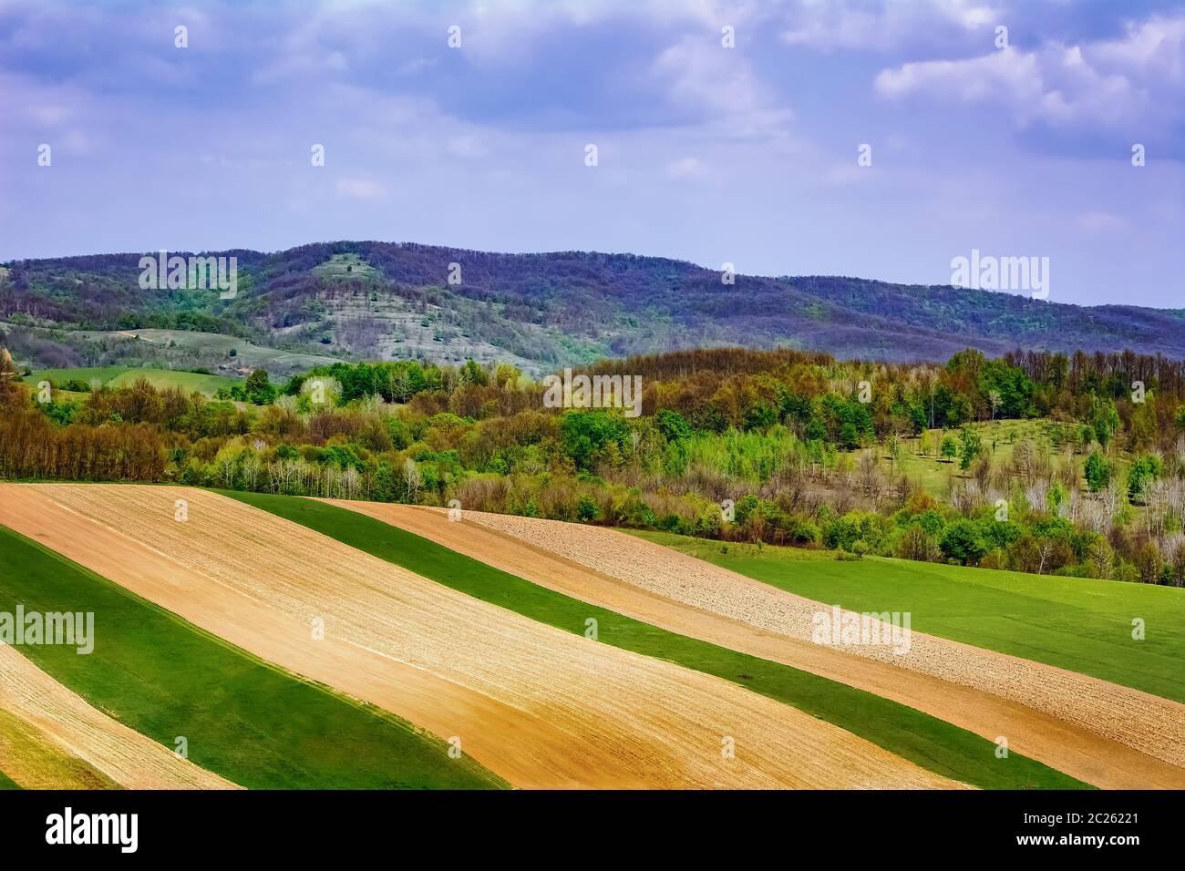 Fields in Carpathian mountains Stock Photo
