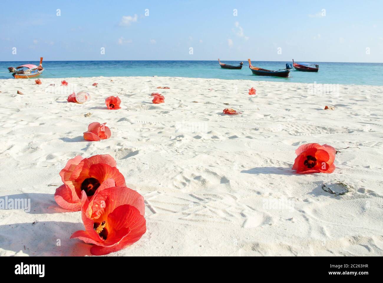 Blue sea, white sand and red Hibiscus flowers Stock Photo