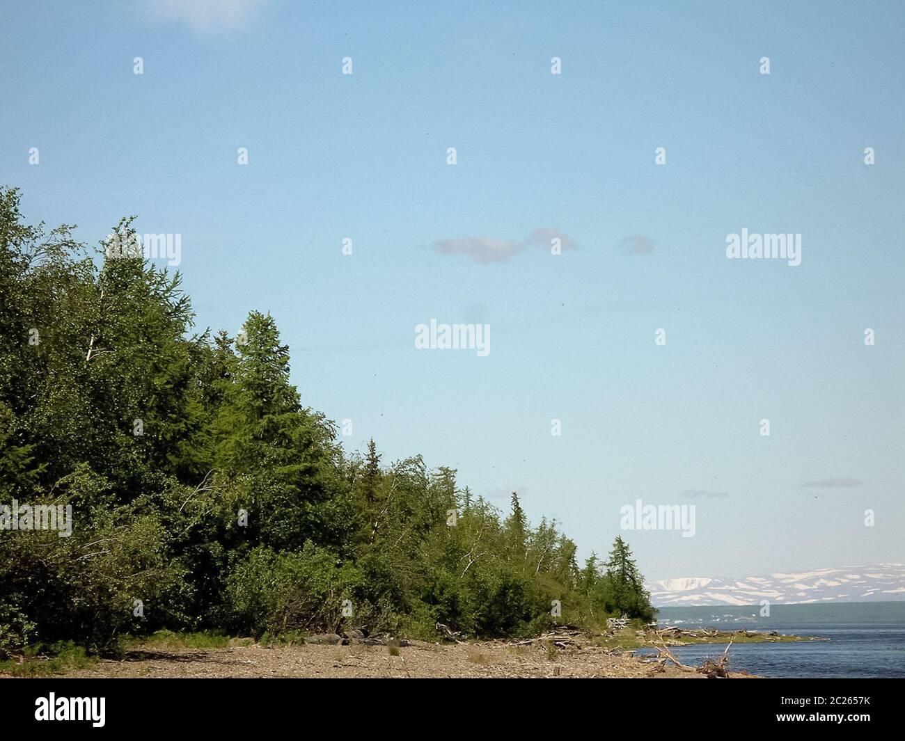 Forest tundra landscape in the summer. Taiga of Siberia. Yamal Stock ...