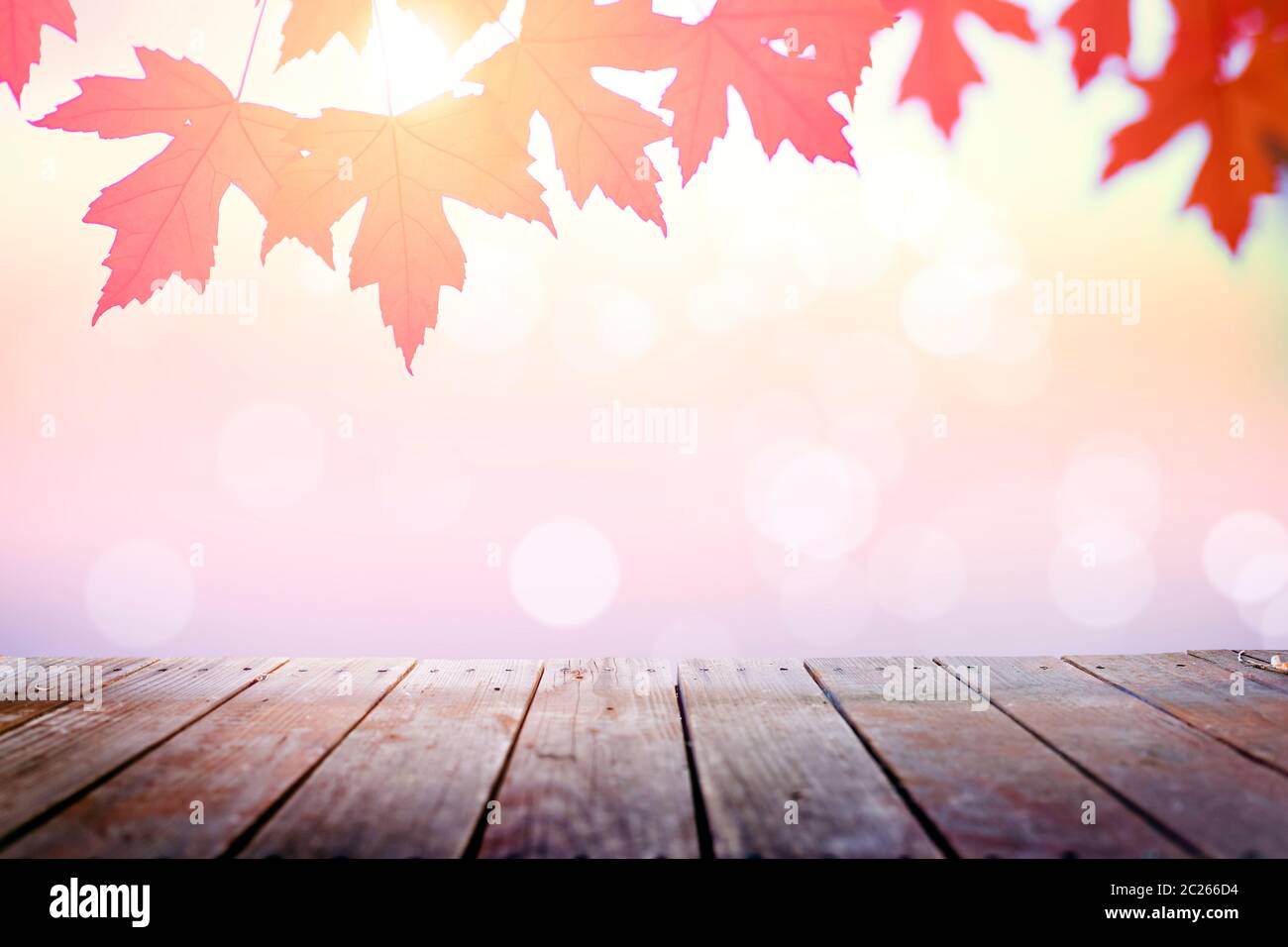 Multi colored autumn tree leaves and wooden table background Stock Photo