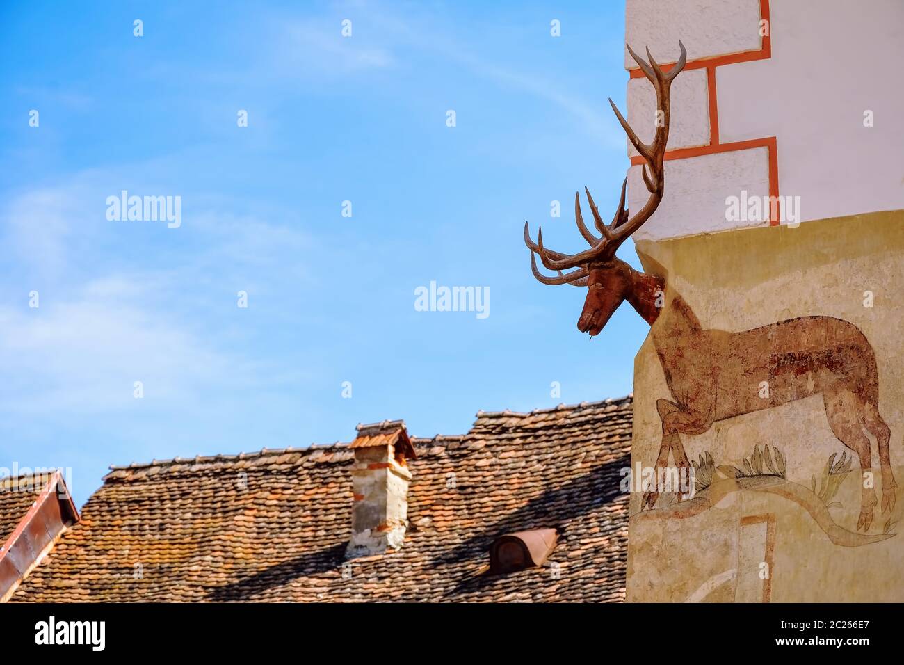Corner of a House with a Deer Head in Sighisoara, Romania Stock Photo