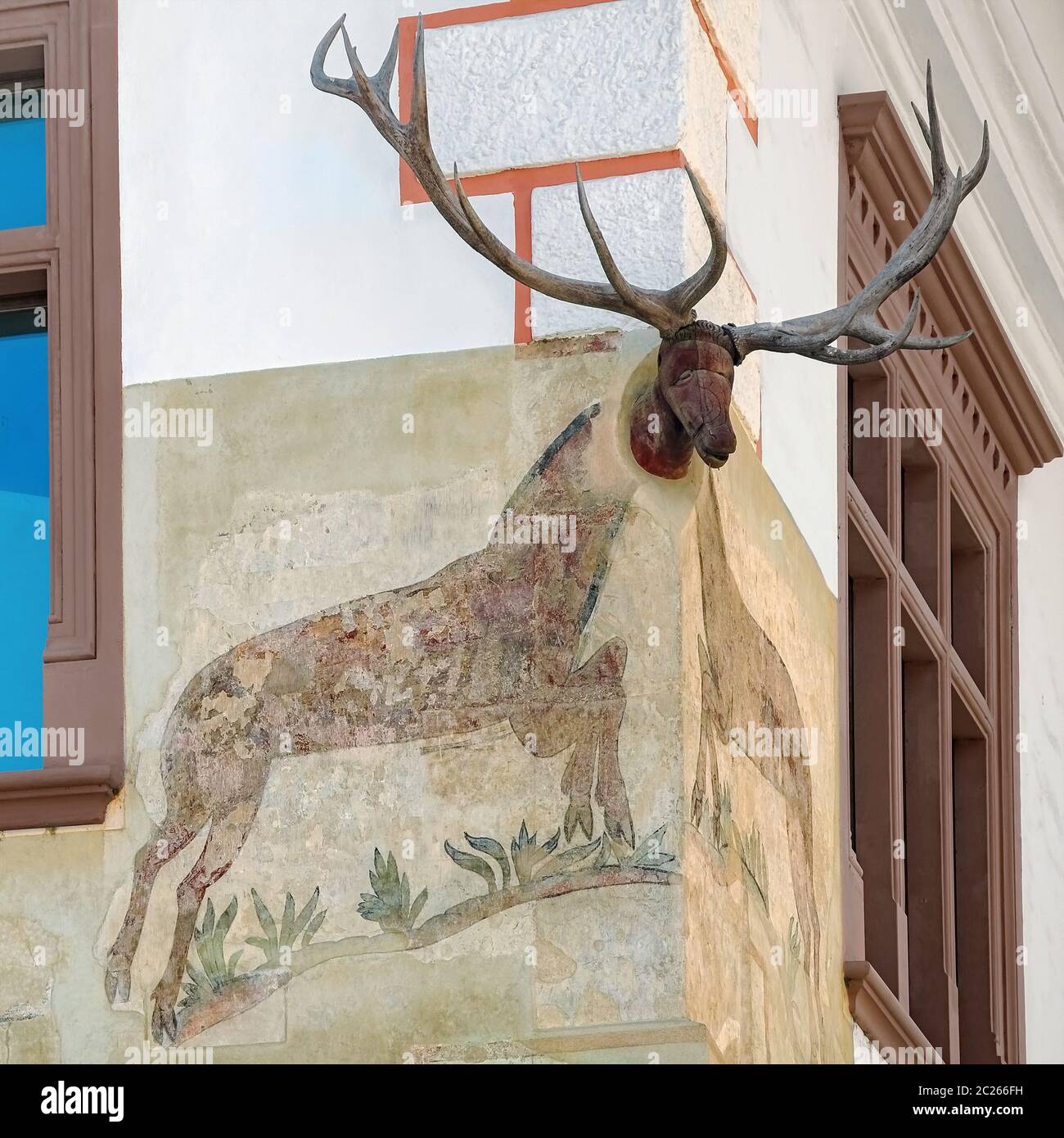 Corner of a House with a Deer Head in Sighisoara, Romania Stock Photo