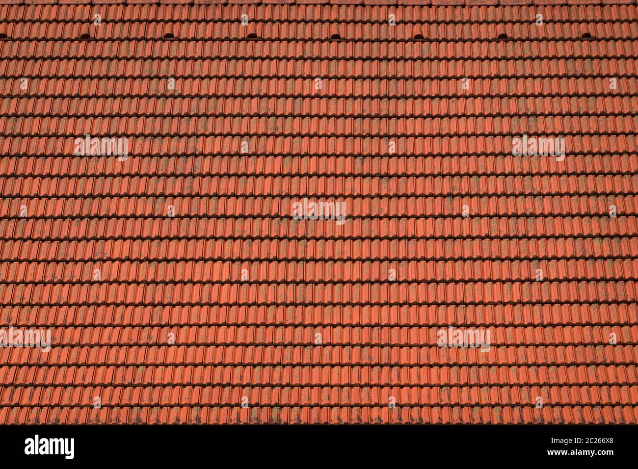 Surface of a roof made of red roof tiles with dirt Stock Photo