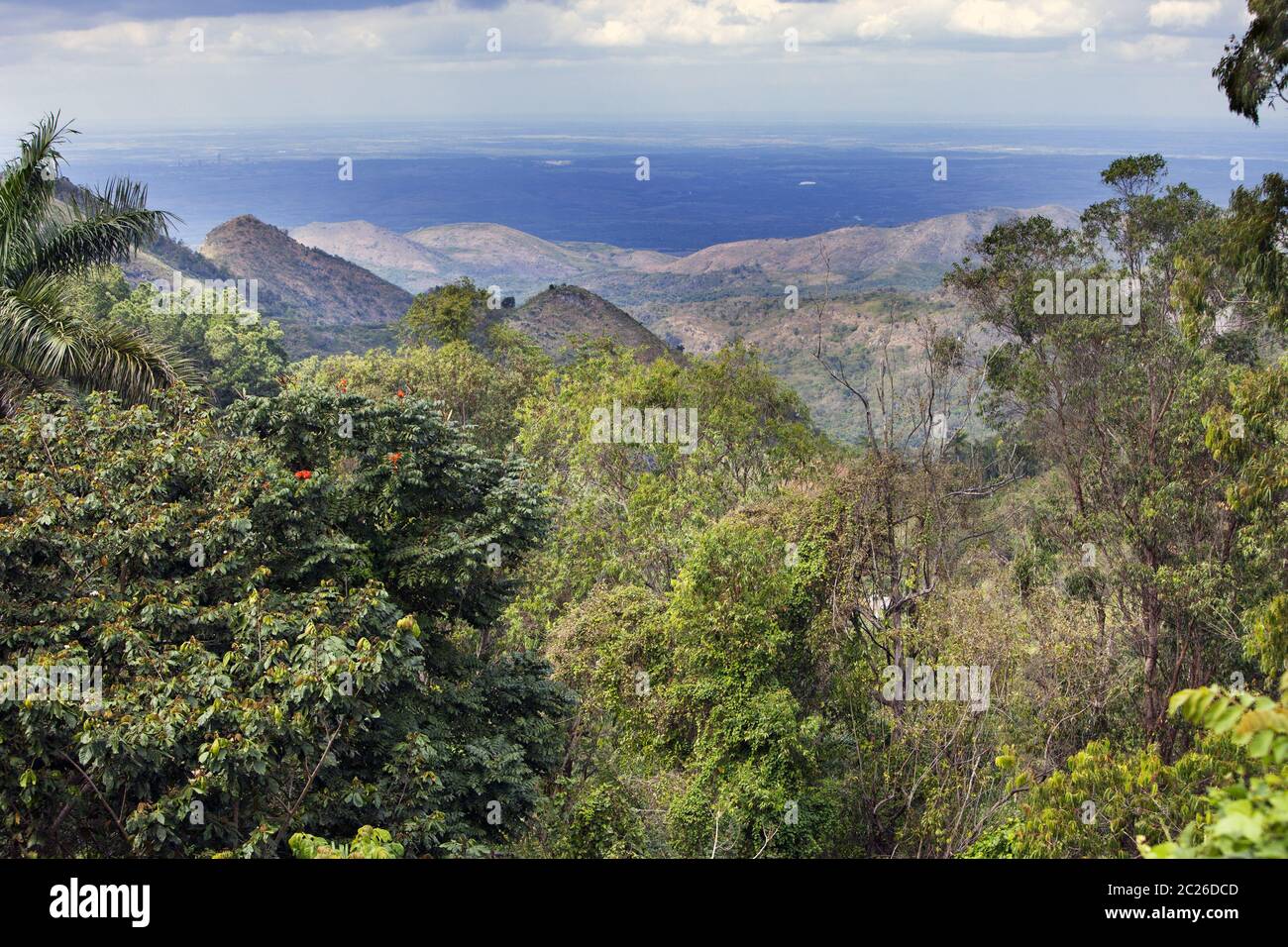 Cuba. Hills covered with tropical vegetation Stock Photo