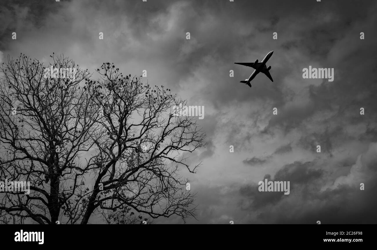 Silhouette commercial airplane on grey sky and clouds with death tree. Failed vacation. Hopeless and despair concept. Moody sky and transport plane. S Stock Photo