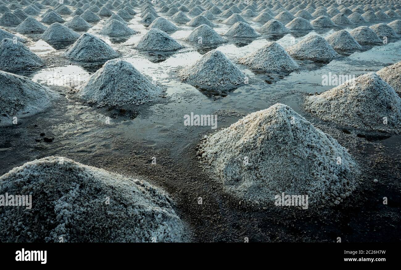 Sea salt farm in Thailand. Organic sea salt. Evaporation and