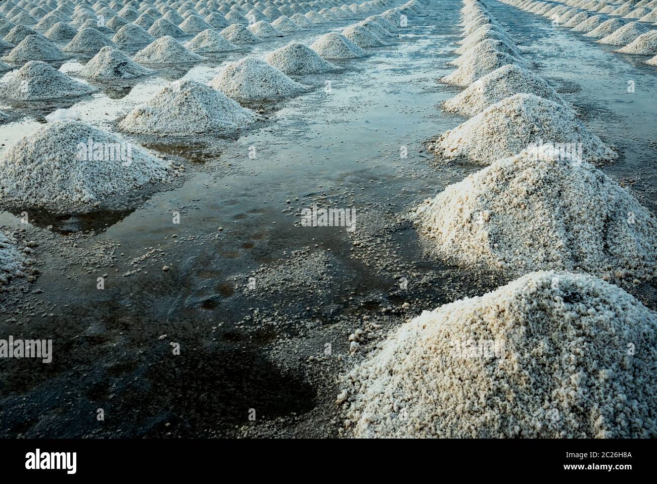 Sea salt farm at Samut Sakhon, Thailand. Organic sea salt. Evaporation