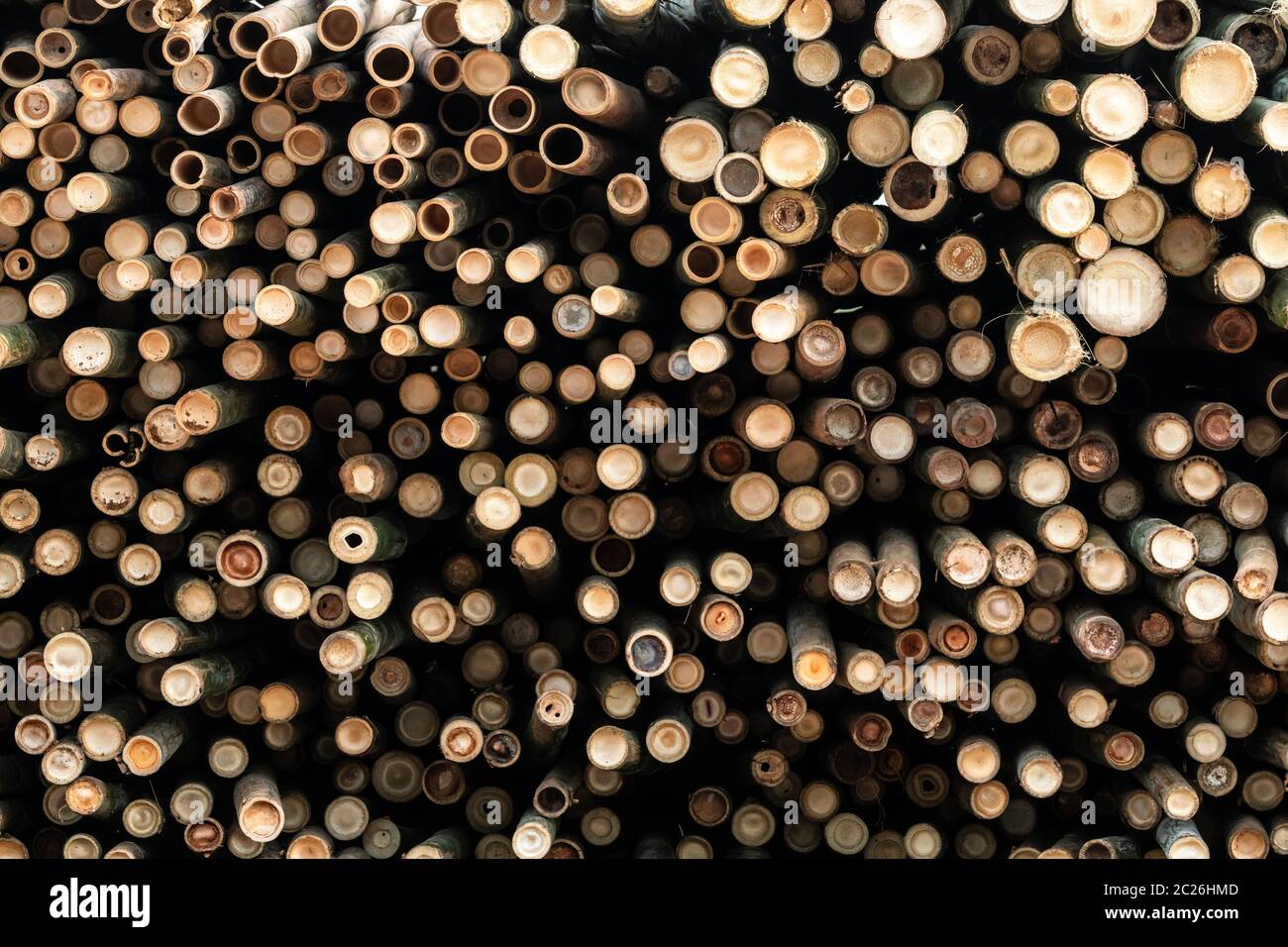 Pile of bamboo pole. Stack of round timber logs. Large batch of wooden