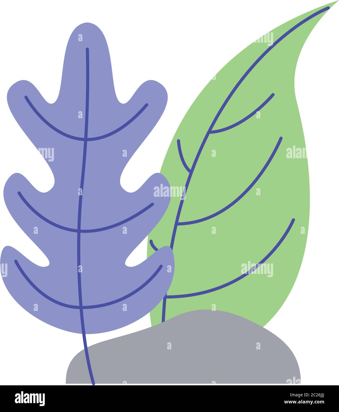 leaves with rock design of Floral nature plant garden ornament botany