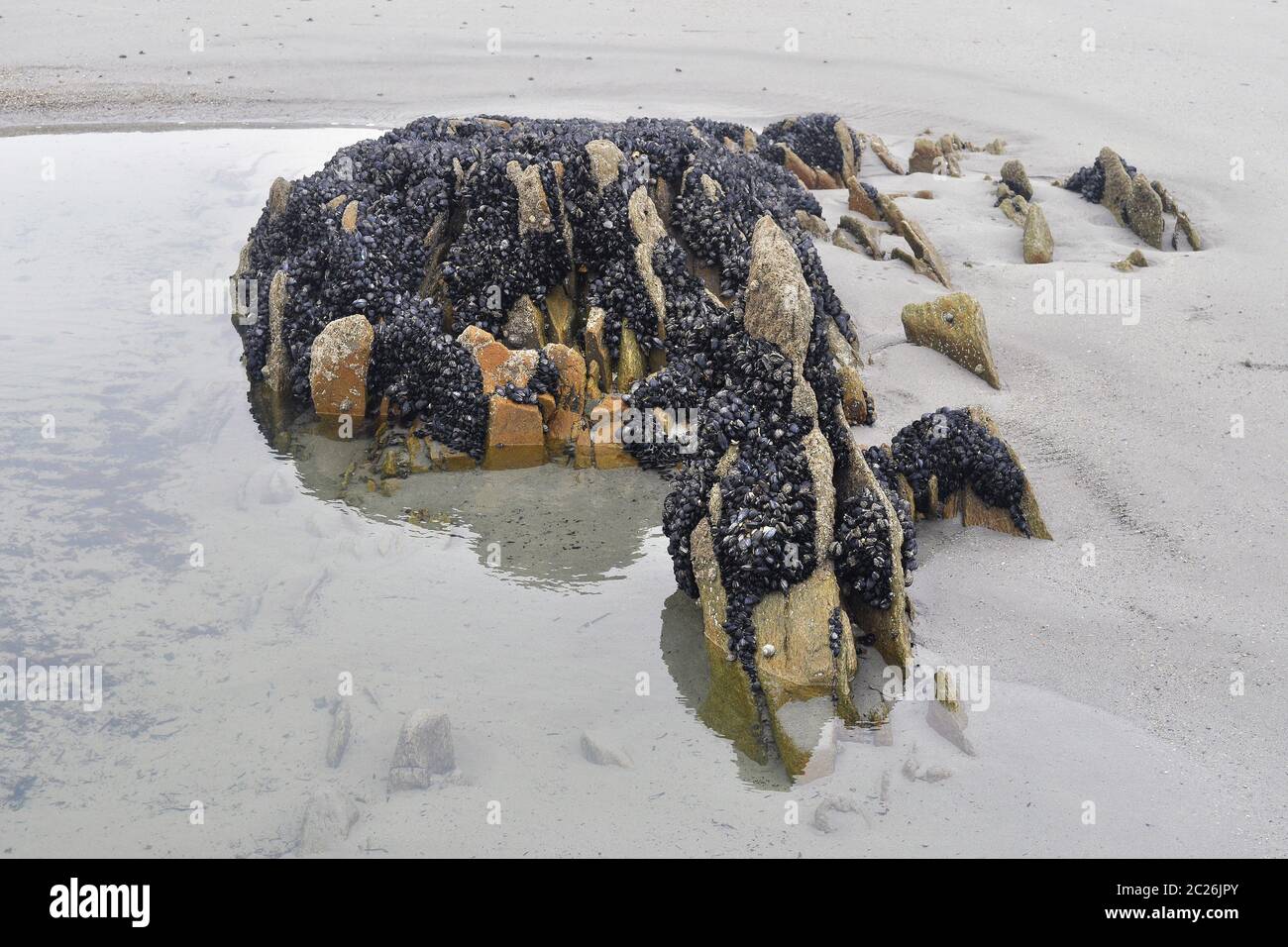 Reef Roc Surface Reef roc after the Atlantic Ocean Stock Photo - Alamy