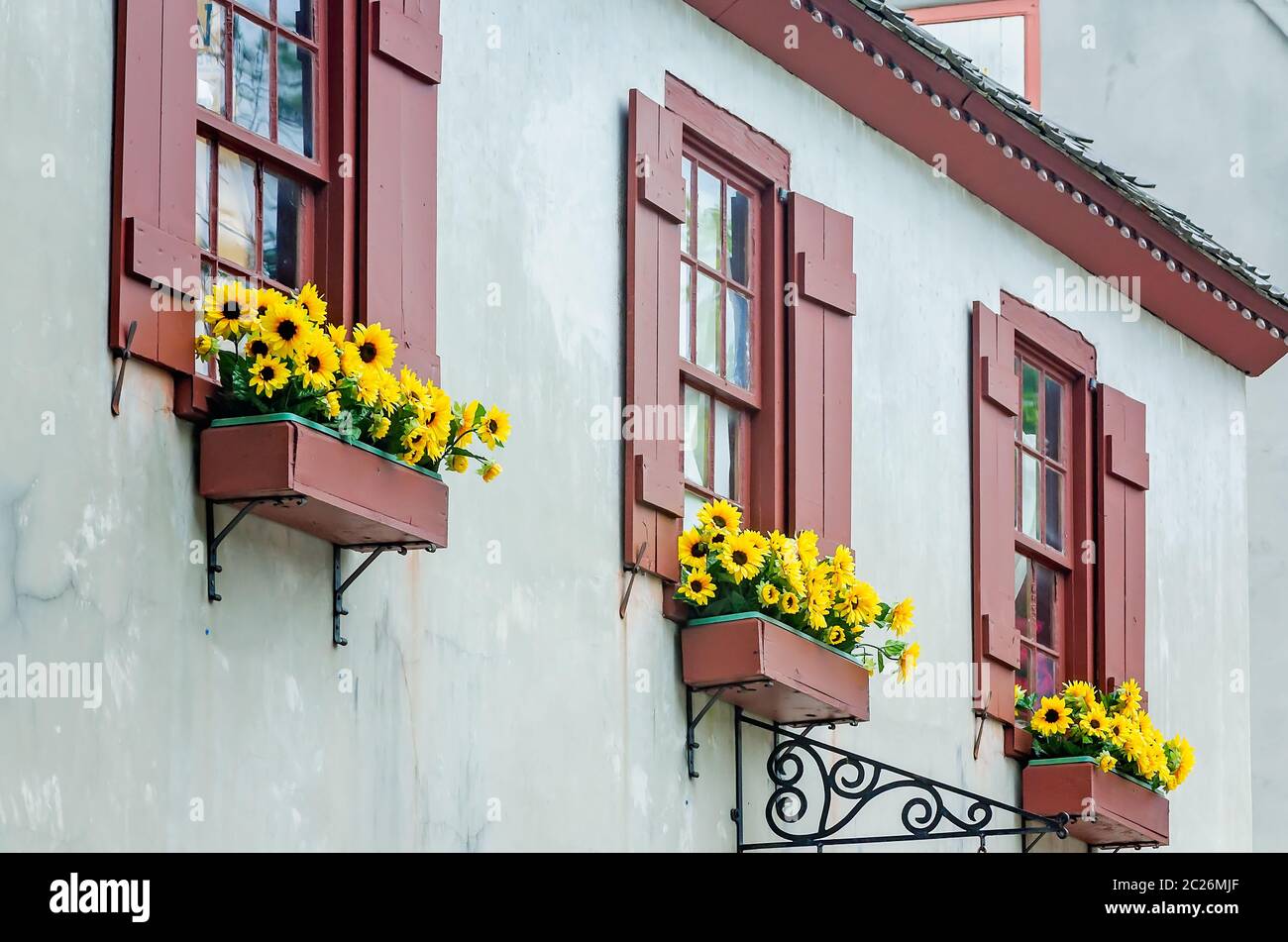 Yellow daisies brighten window boxes at Flagler’s Legacy on St.