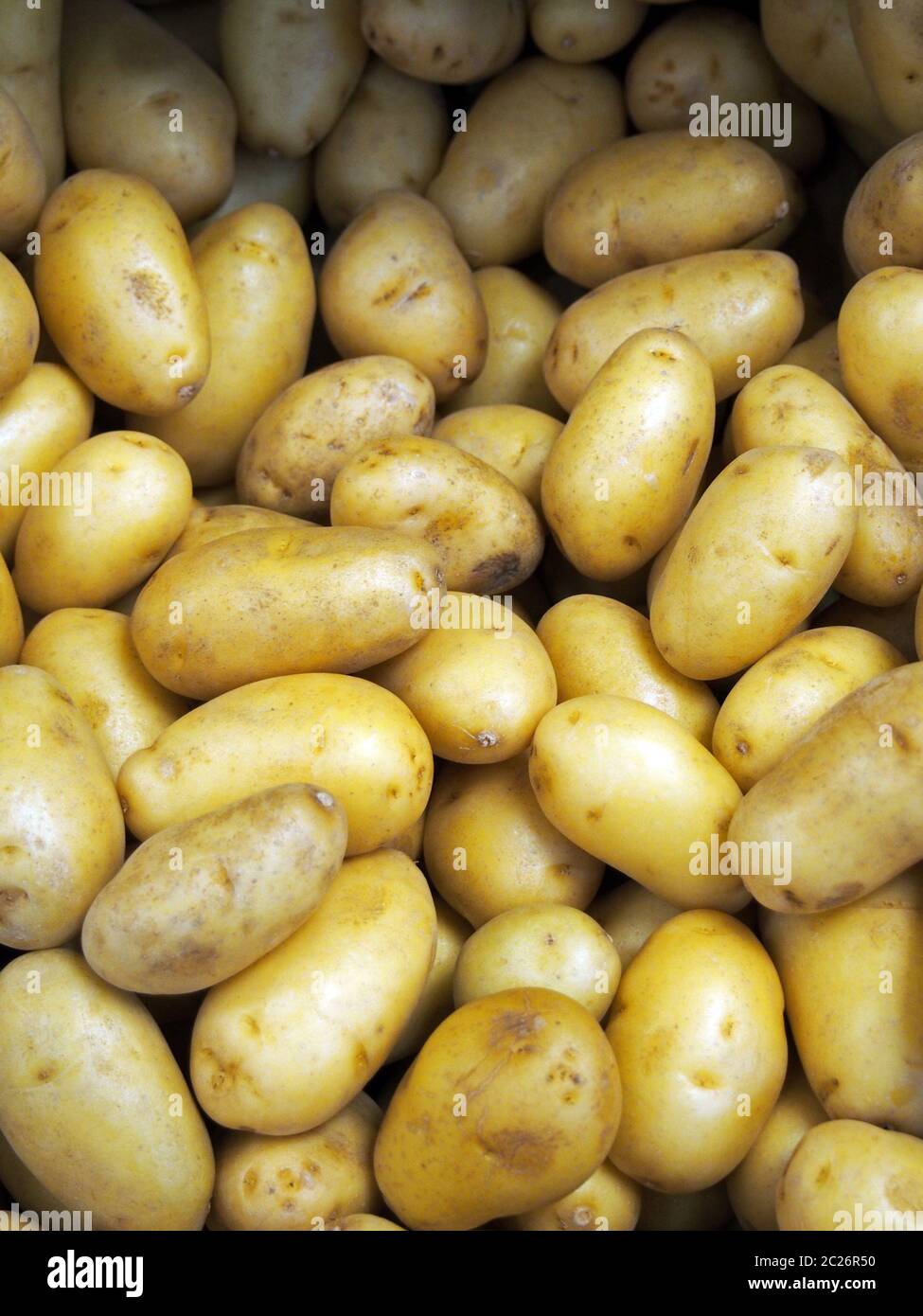 a pile of small yellow irregular shaped small waxy potatoes for sale on a market Stock Photo