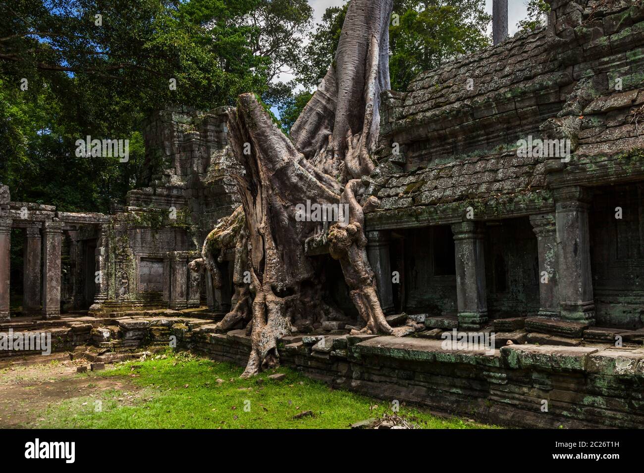 Preah Khan Temple, corroded by root of giant tree, Ancient capital of Khmer Empire, Siem Reap, Cambodia, Southeast Asia, Asia Stock Photo